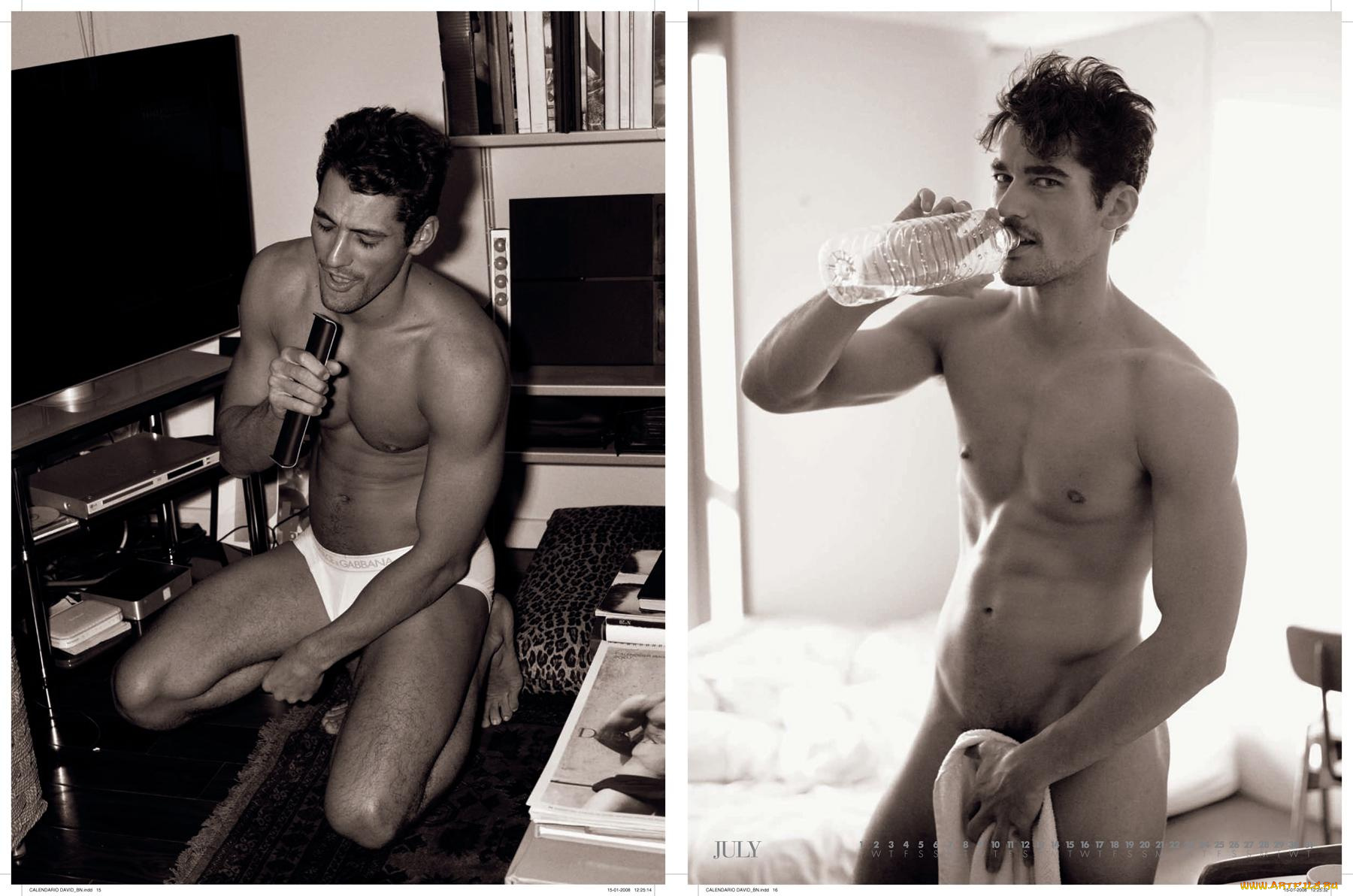 david, gandy, календари, люди