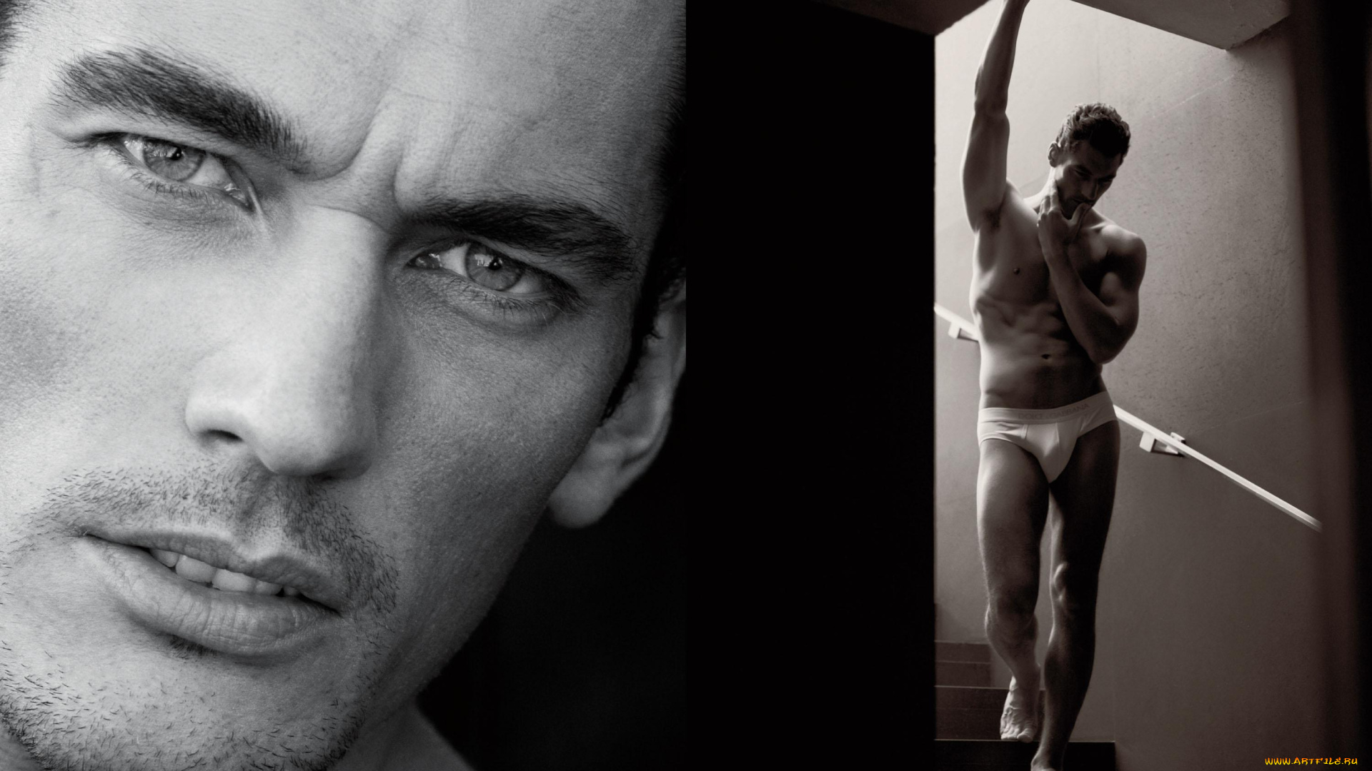 david, gandy, мужчины, dolce, and, gabbana