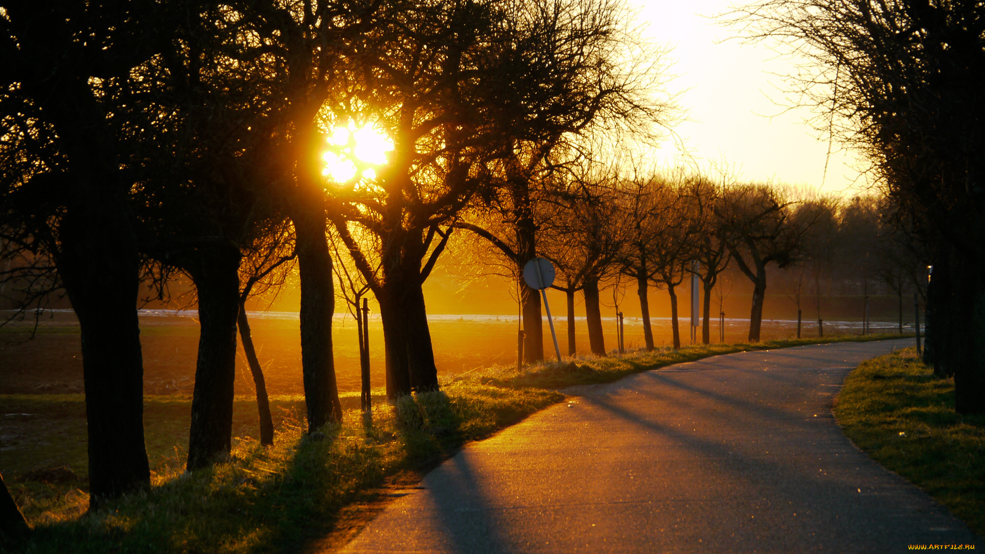 природа, дороги, дорога, солнце, деревья, закат, поворот