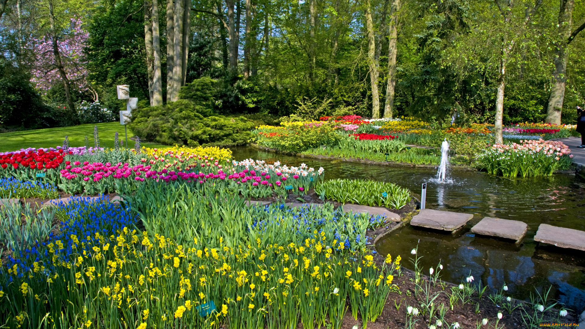 природа, парк, keukenhof, lisse, netherlands