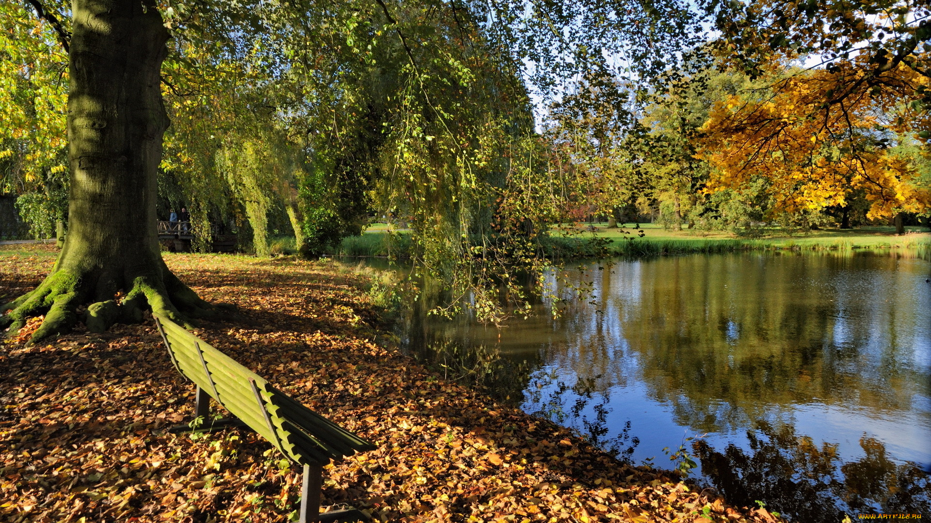 природа, парк, осень, скамья