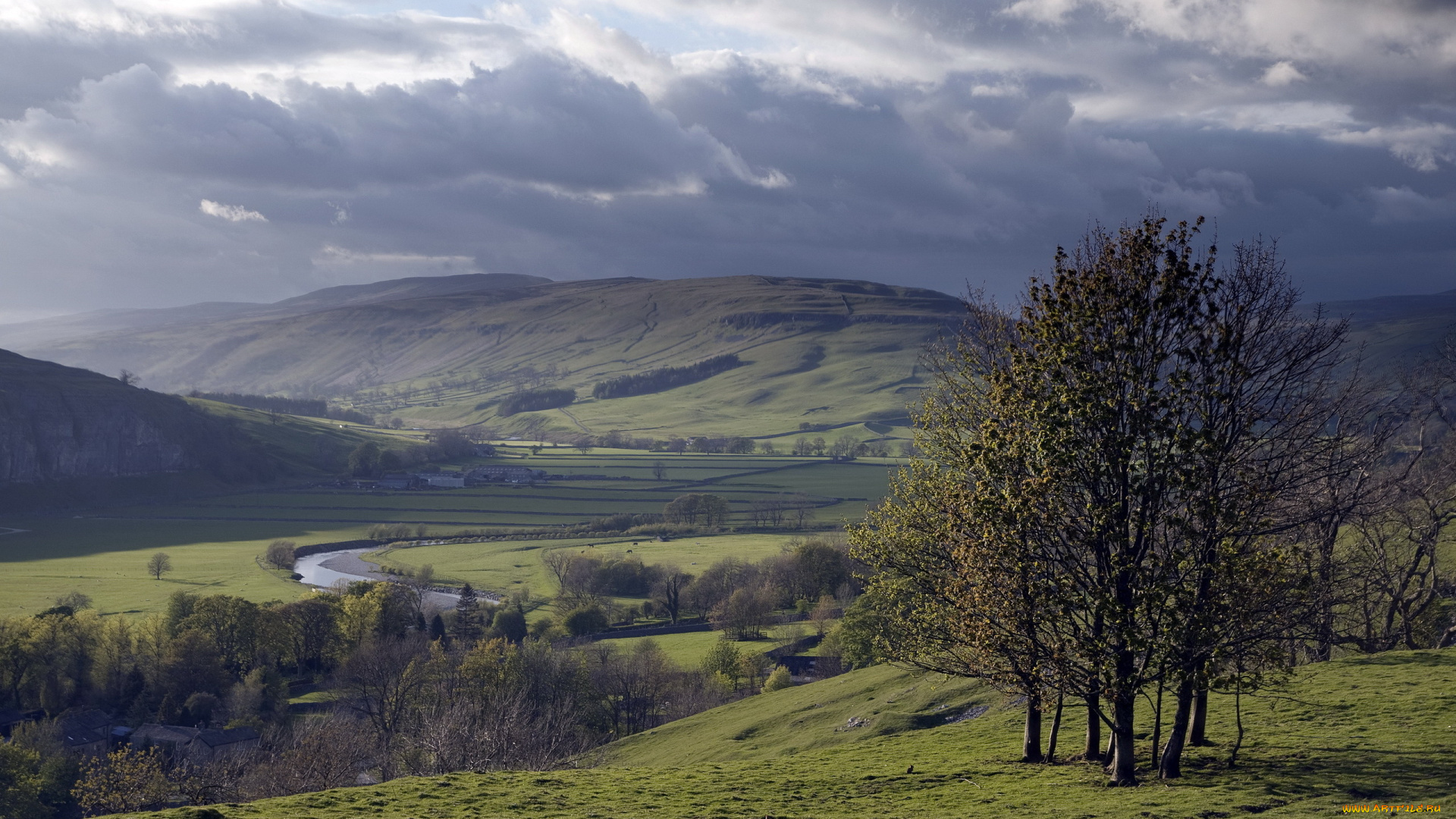 природа, пейзажи, деревья, долина