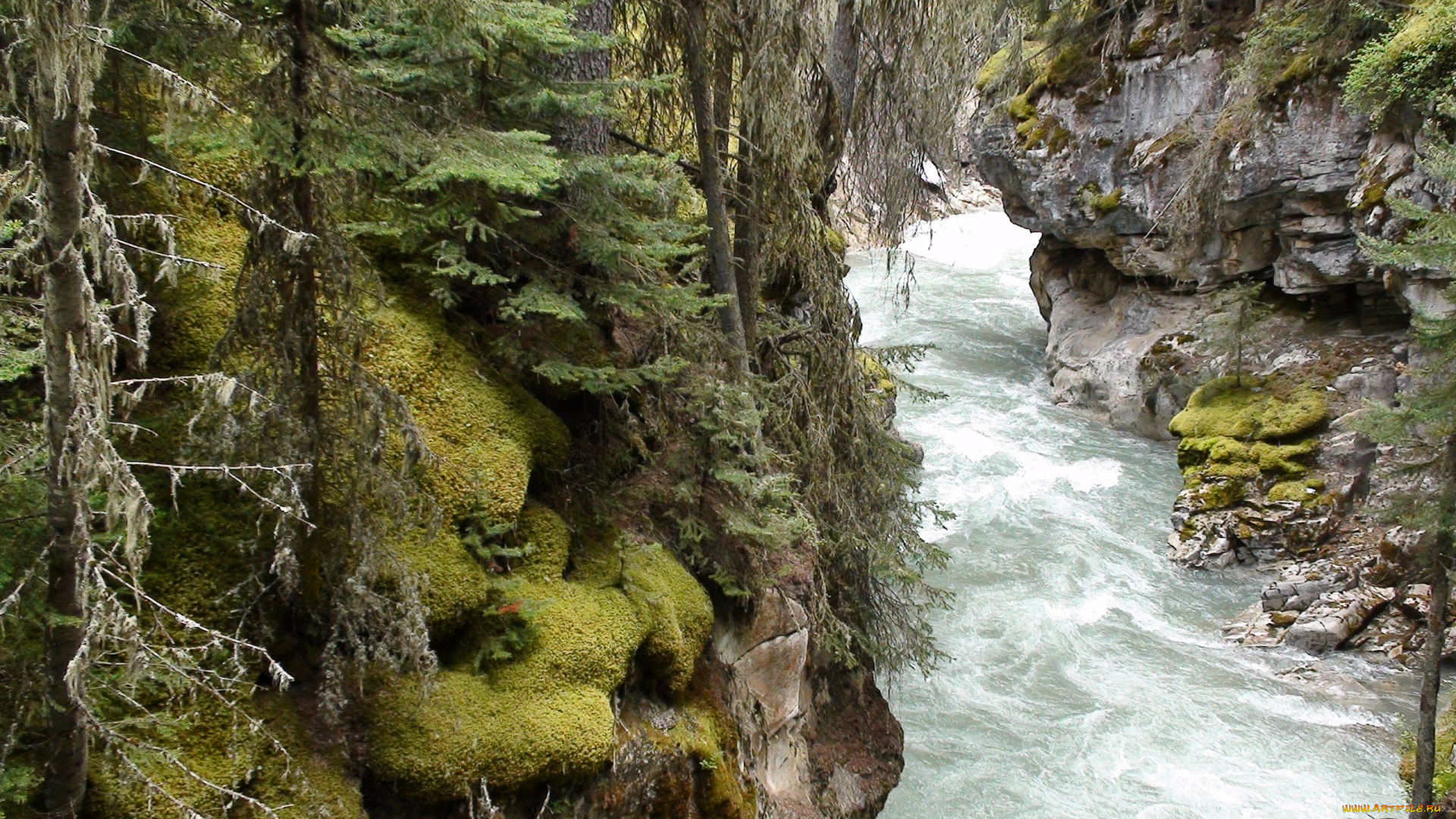 природа, реки, озера, деревья, река, ручей, весна, пена