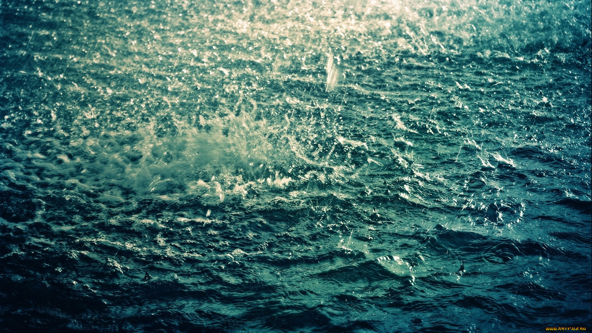 природа, вода, дождь