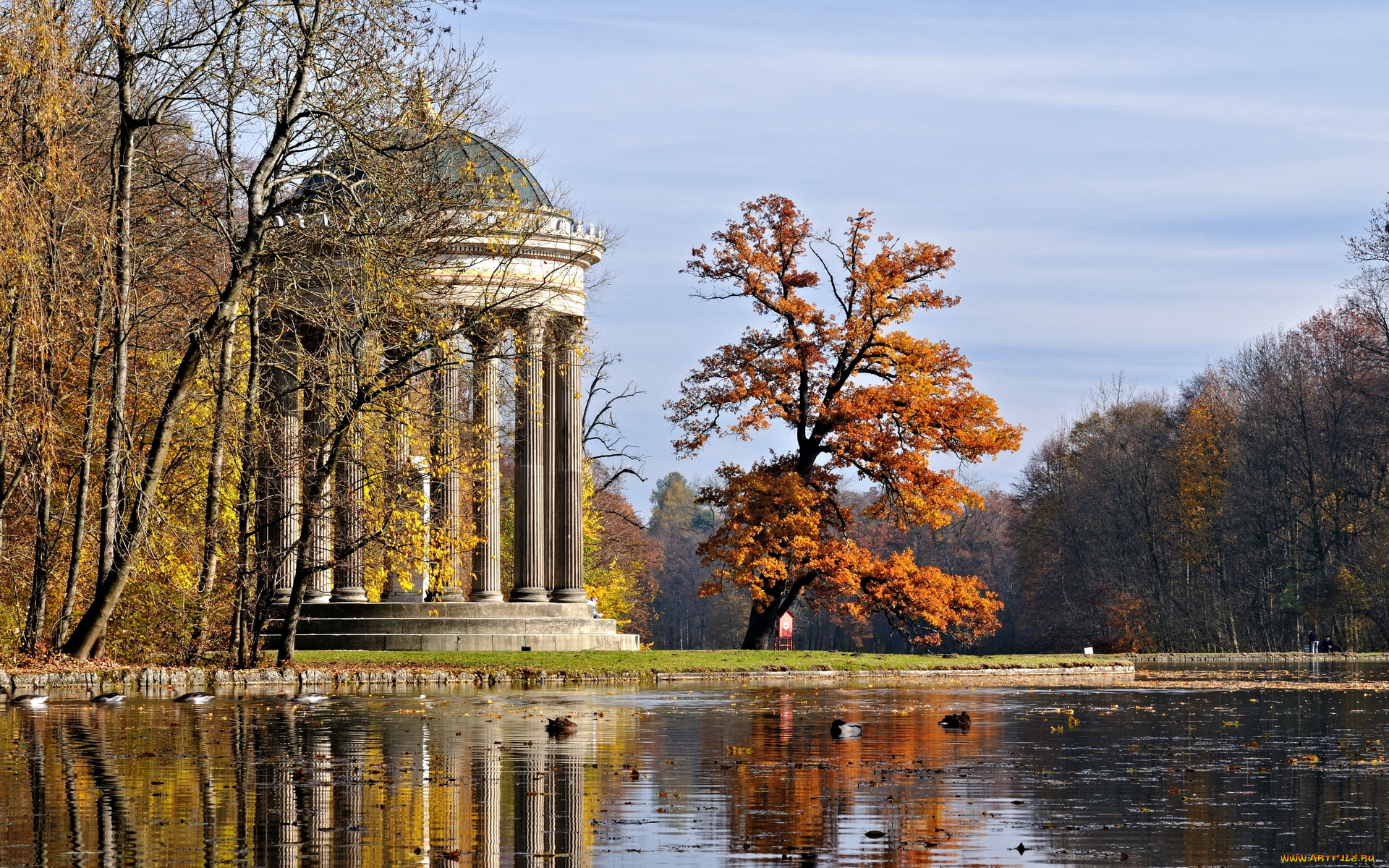 природа, парк, nymphenburg, park, мюнхен, германия
