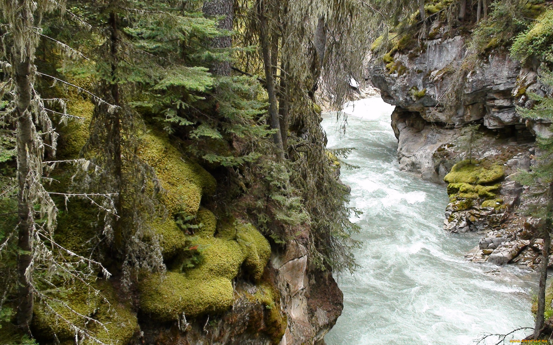 природа, реки, озера, деревья, река, ручей, весна, пена