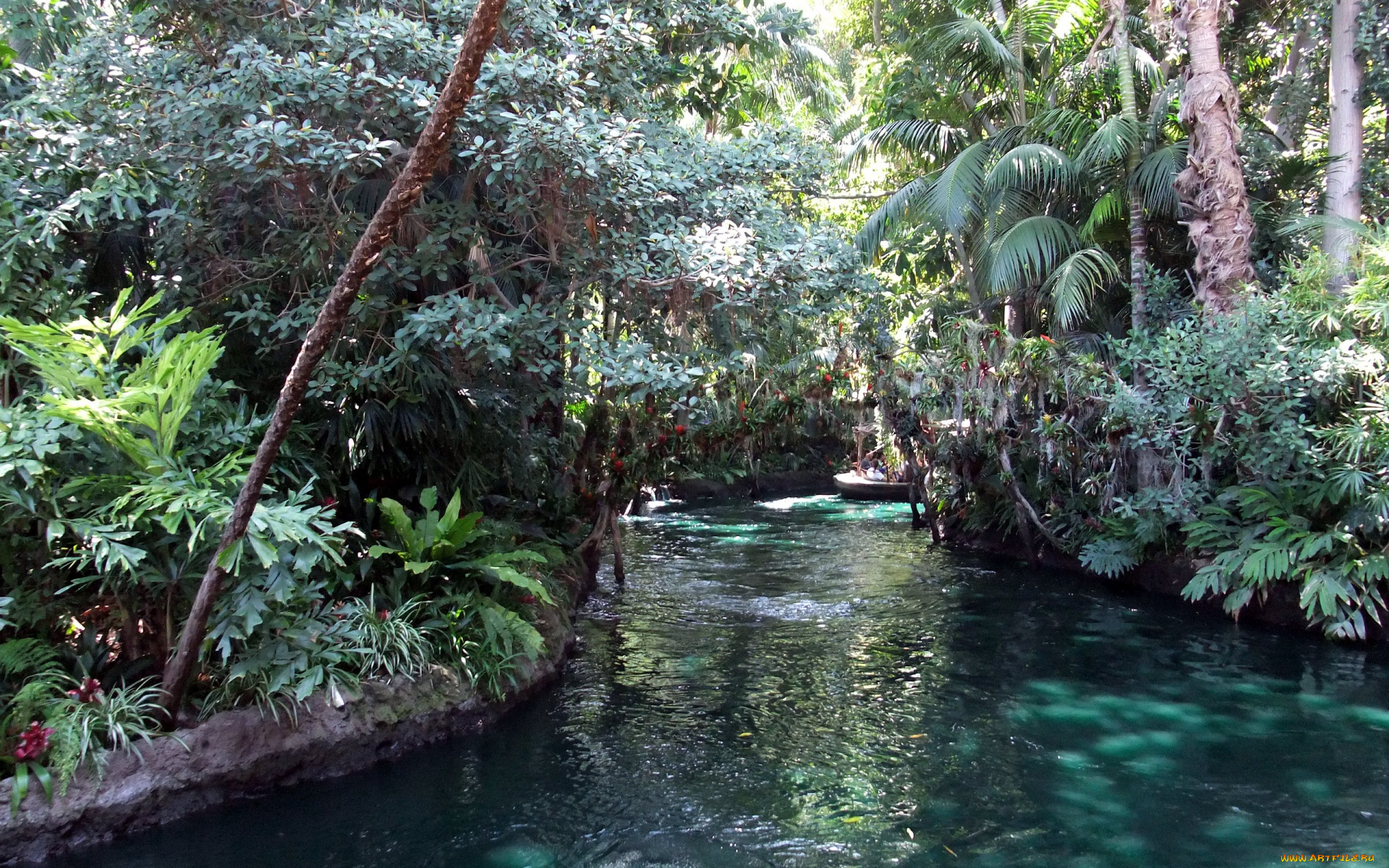 природа, реки, озера, тропики, деревья, река, ручей, лес