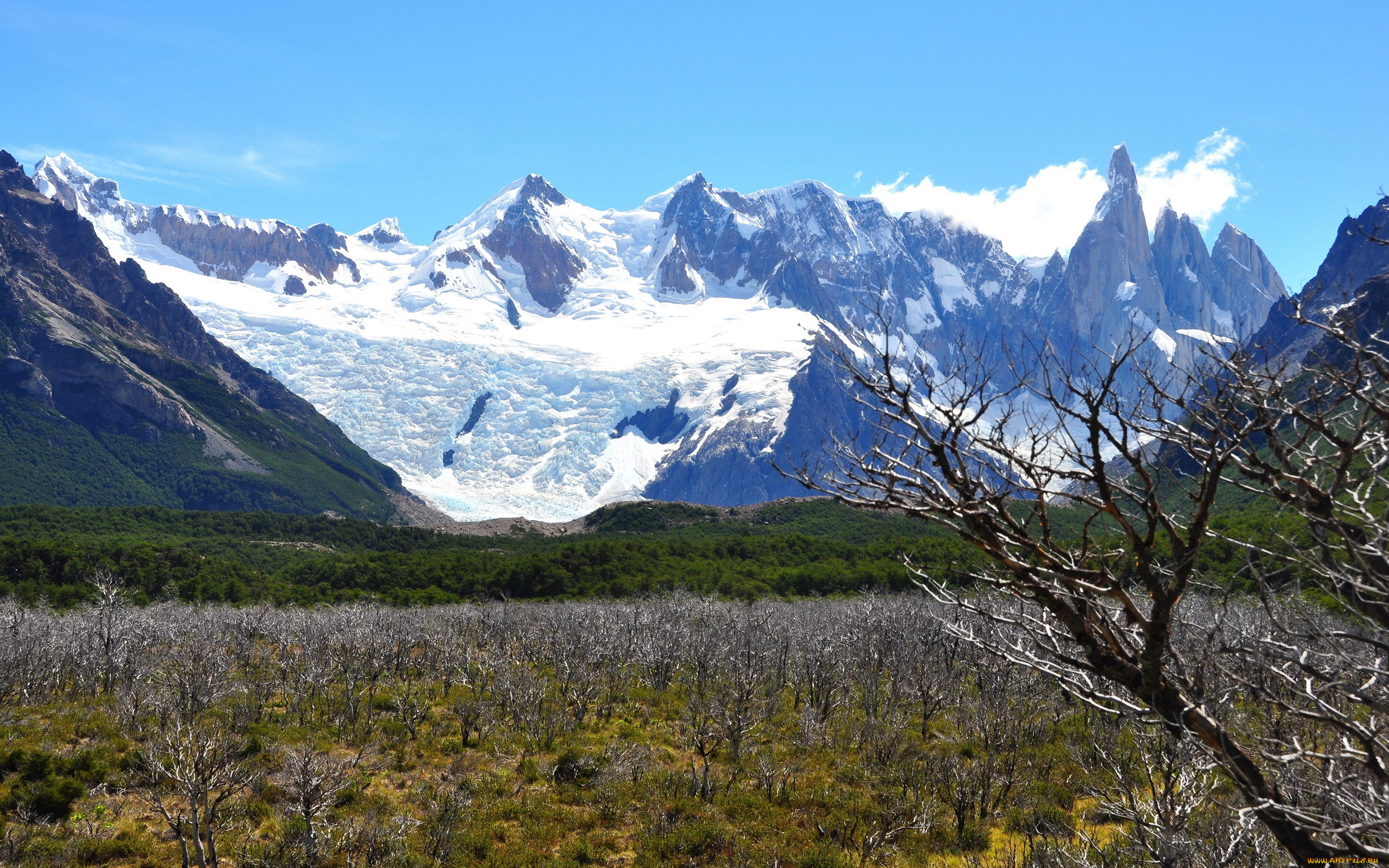 природа, горы, небо, деревья