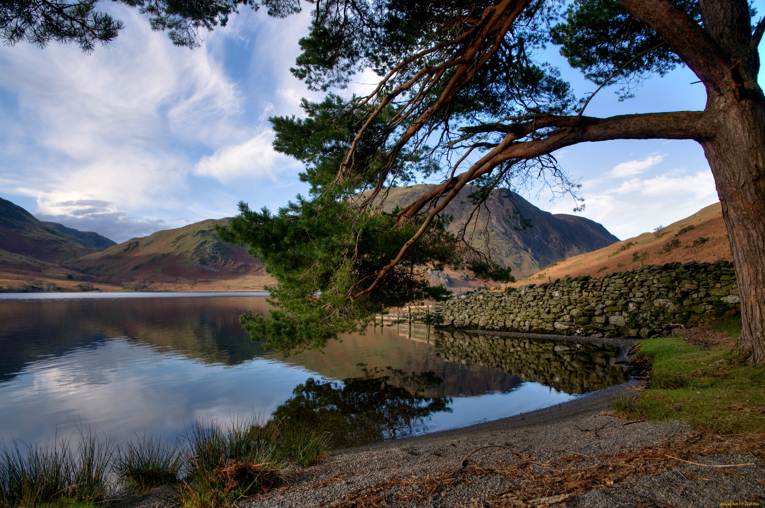 природа, реки, озера, озеро, дерево, холмы, горы, берег