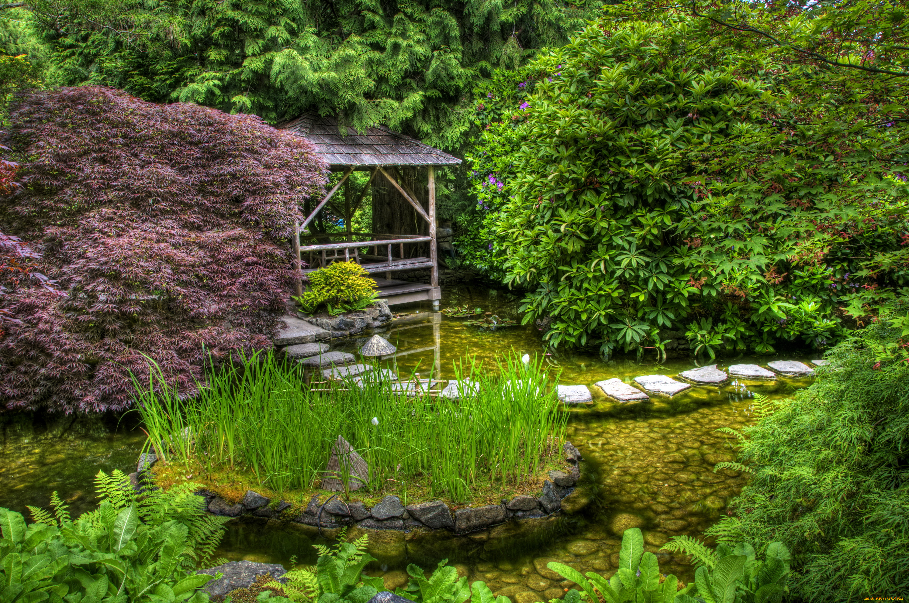 природа, парк, канада, butchart, victoria