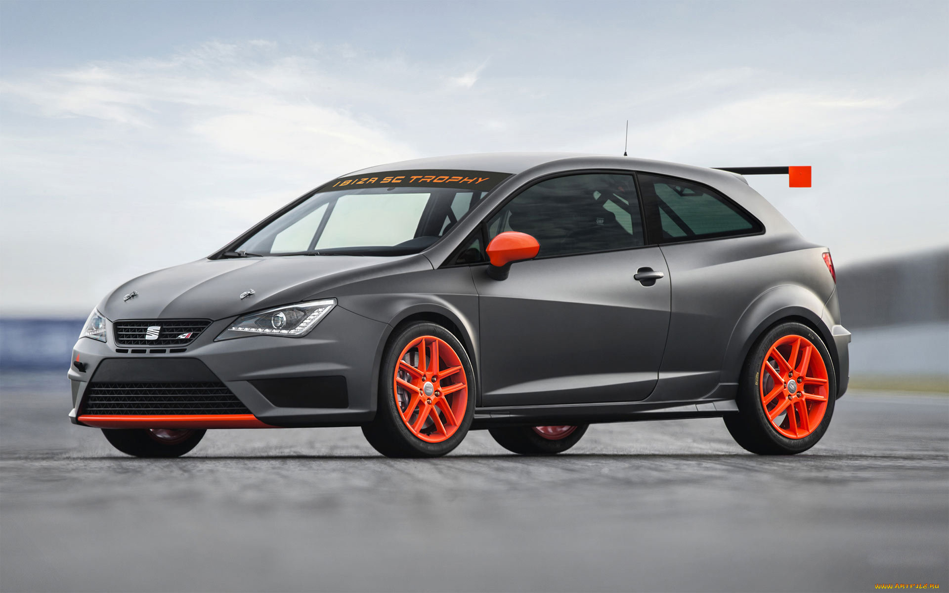 автомобили, seat, sports, car, trophy, ibiza, sc