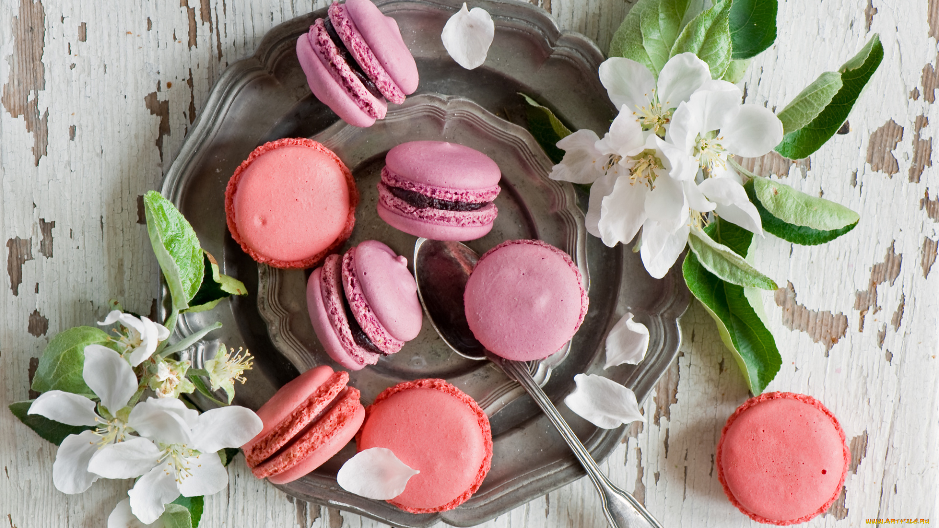 еда, -, макаруны, цветение, яблоня, цветки, макарун, печенье