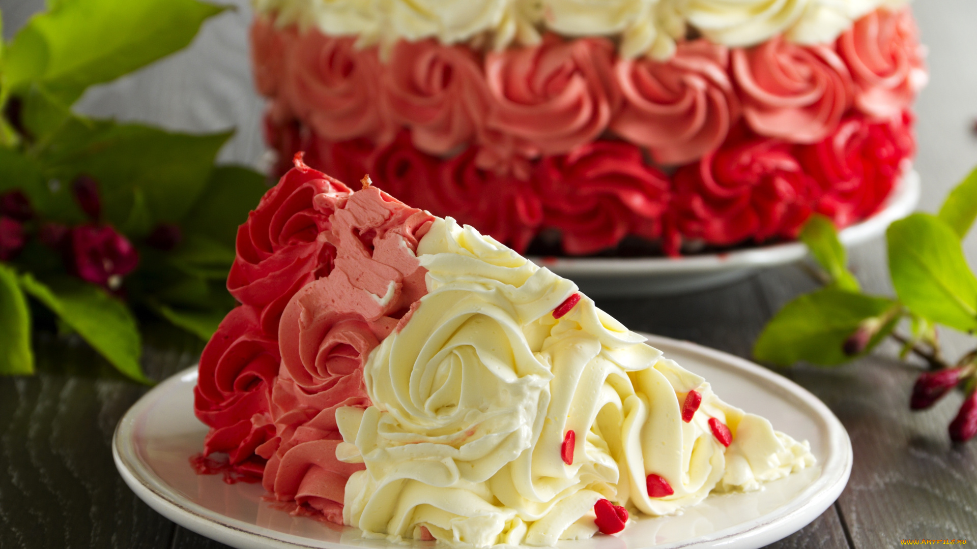 еда, торты, кусок, крем