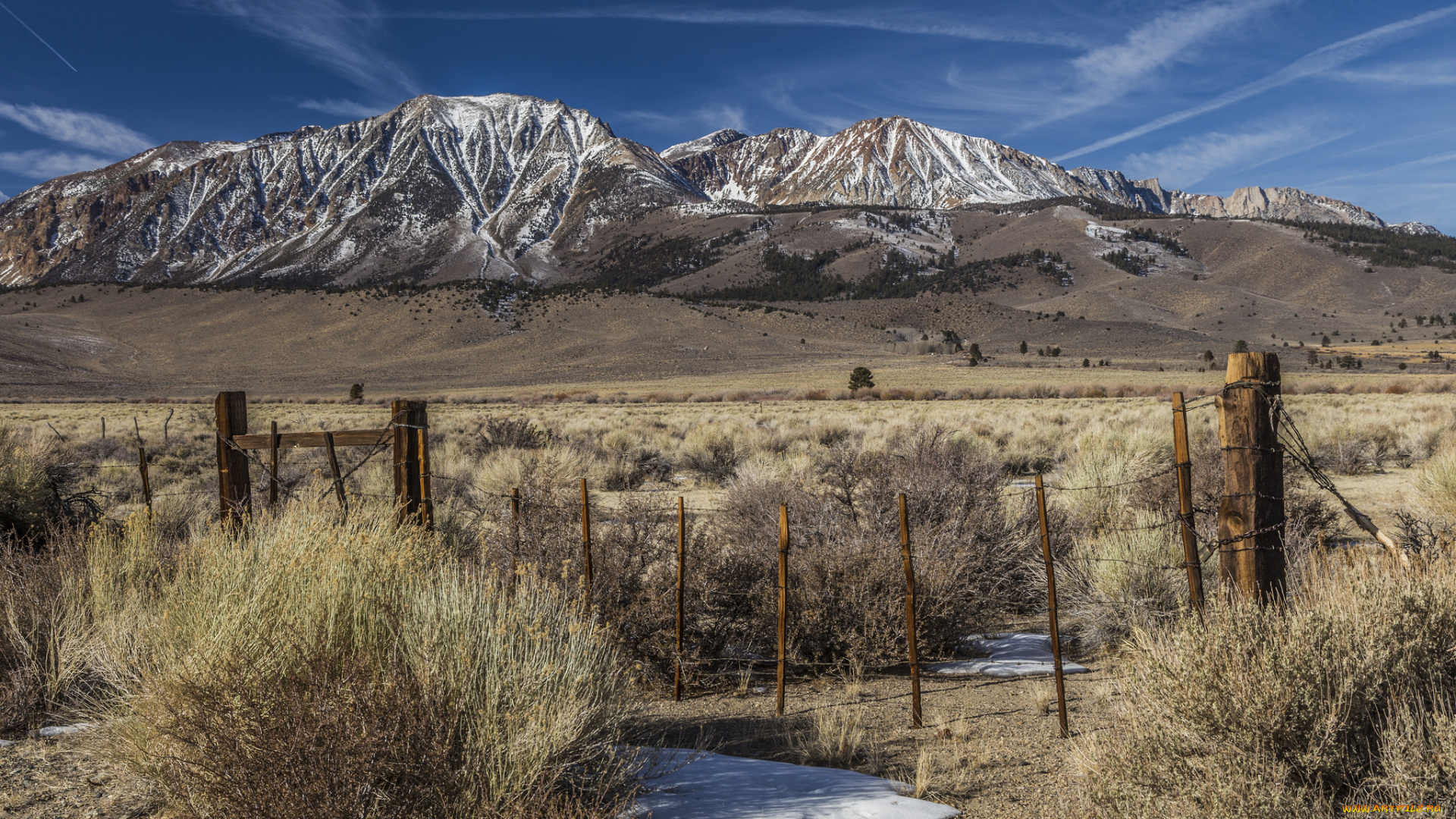 природа, горы, равнина, кустарник, ограда
