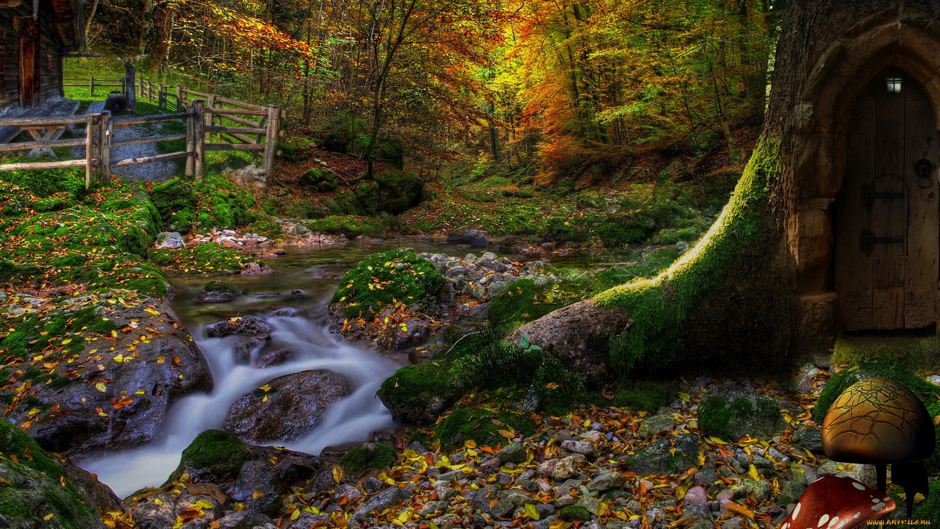 природа, лес, дом, листья, склон, деревья, фонарь, дверь, грибы