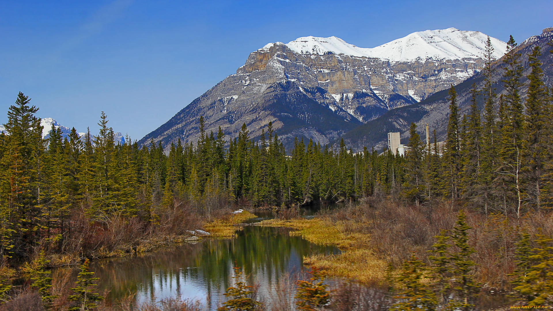 природа, реки, озера, горы, река, лес