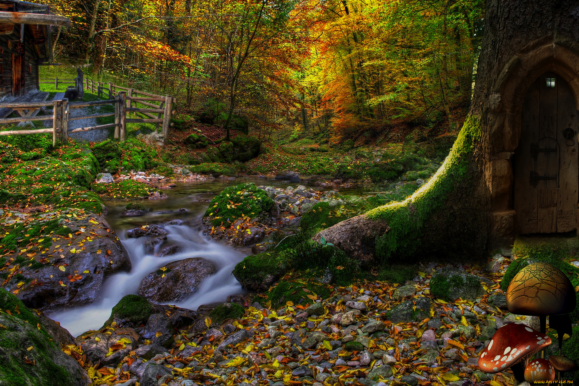природа, лес, дом, листья, склон, деревья, фонарь, дверь, грибы