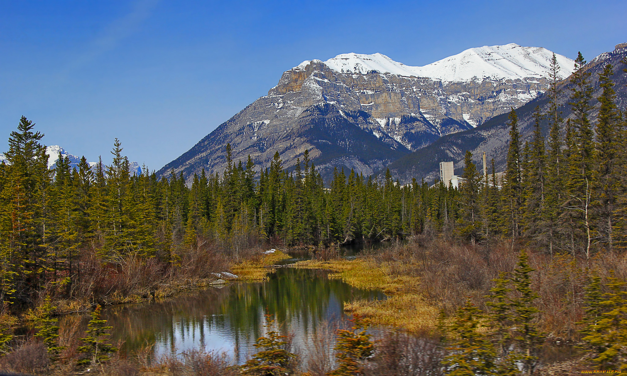 природа, реки, озера, горы, река, лес