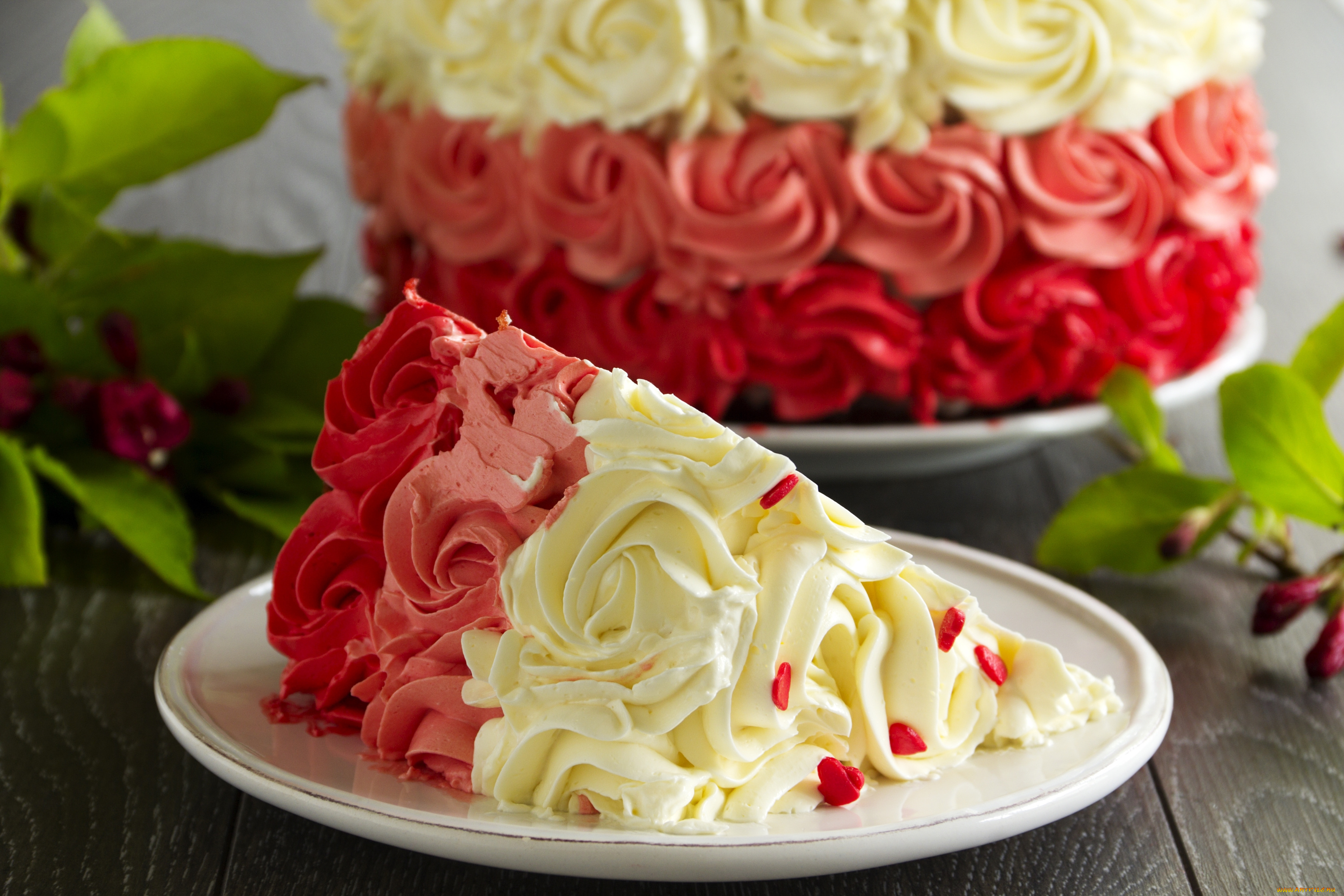 еда, торты, кусок, крем