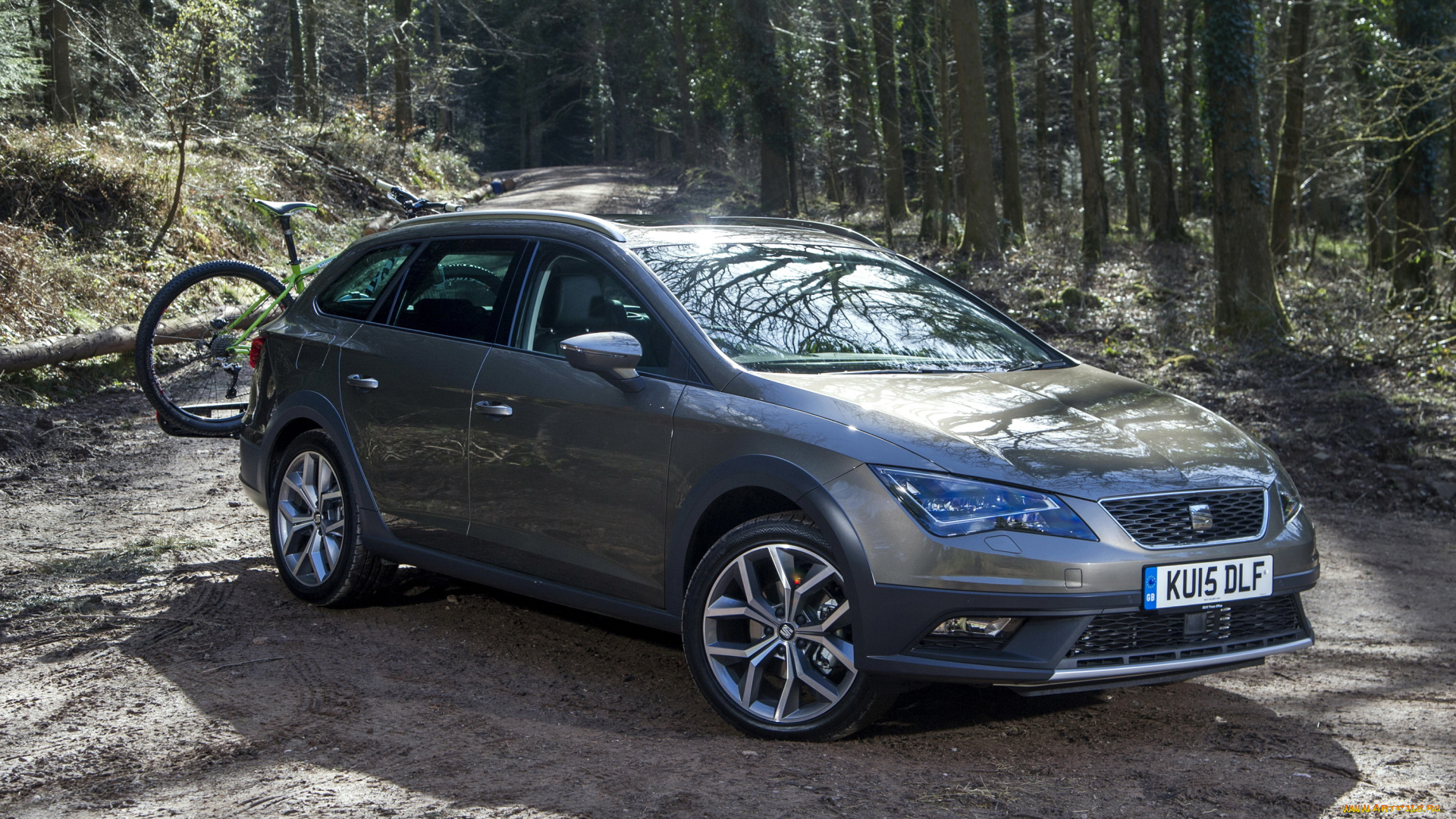 2015, seat, leon, x-perience, автомобили, seat, leon, серый, металлик, лес, тюнинг