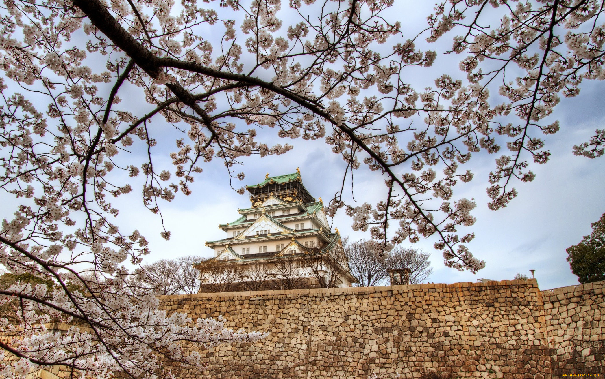 осака, города, -, дворцы, , замки, , крепости, весна, сакура, замок