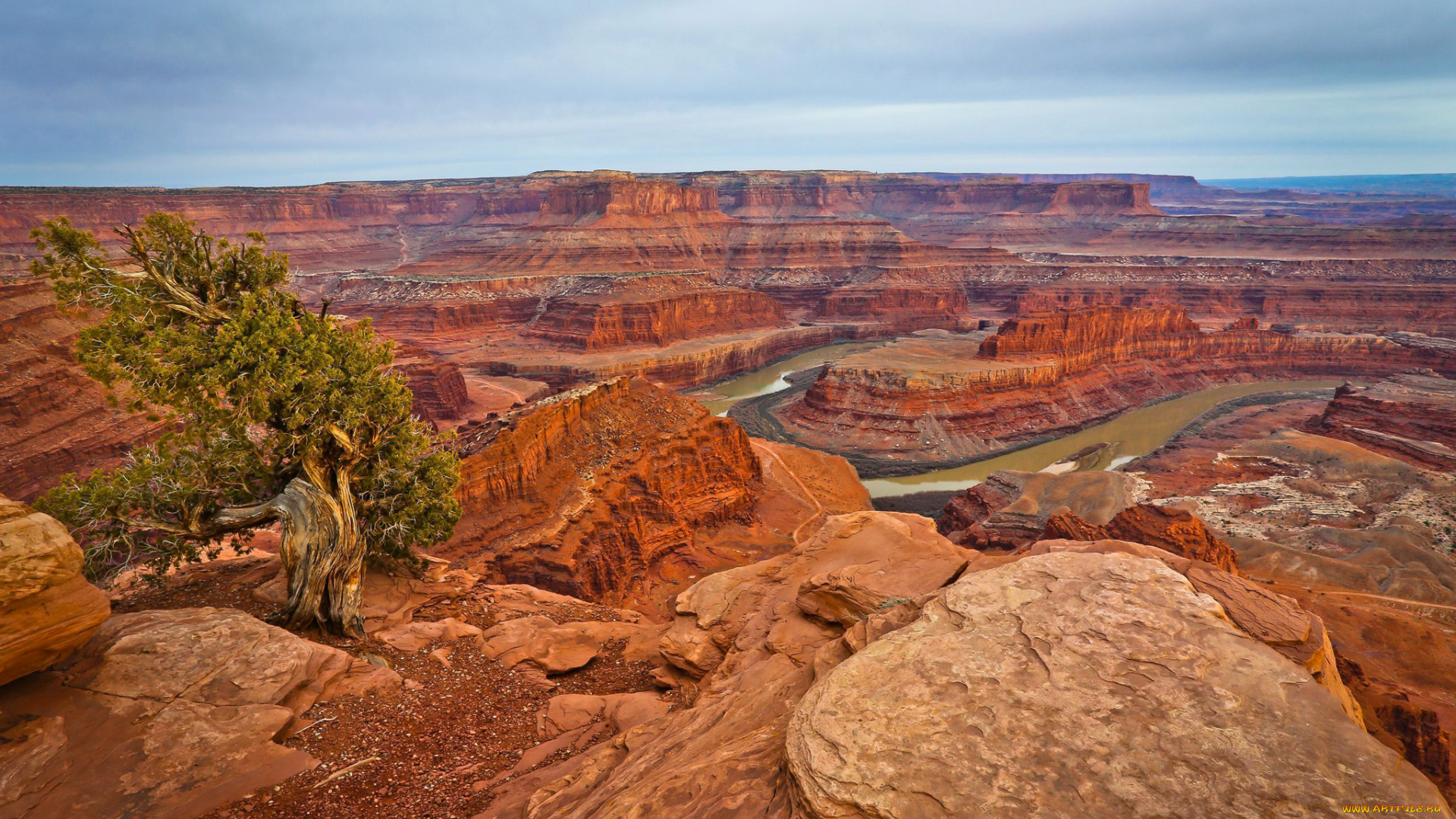 природа, горы, каньон, скалы, дерево, река, облака, небо
