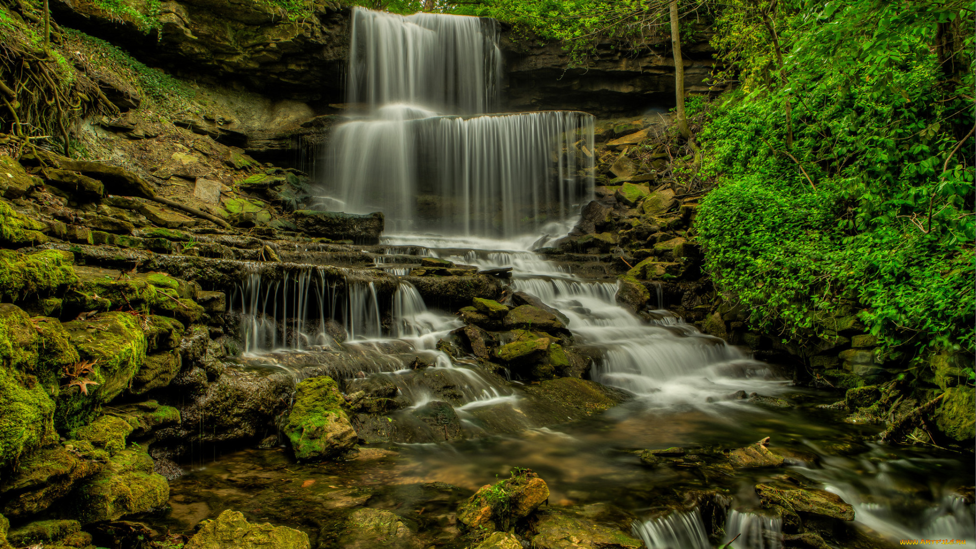 природа, водопады, лес, водопад, река