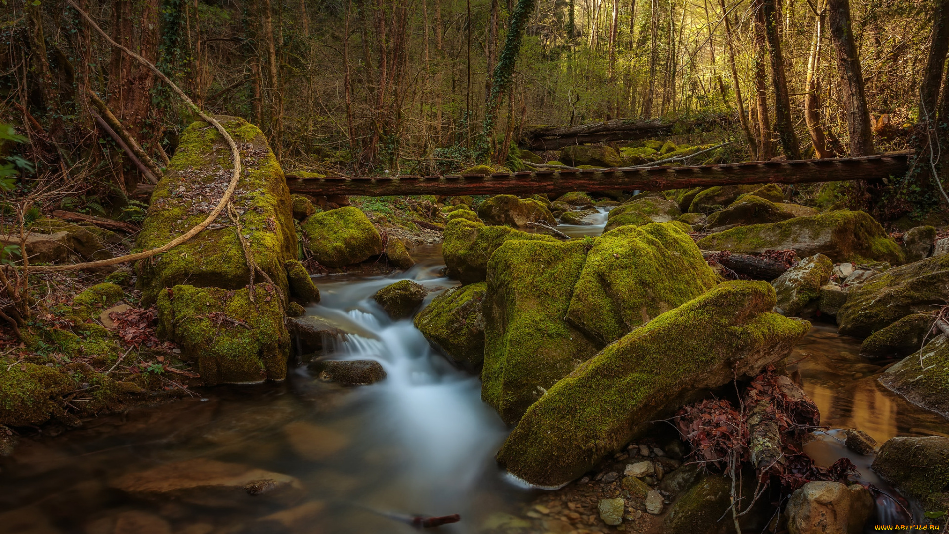 природа, водопады, водопад, река, лес