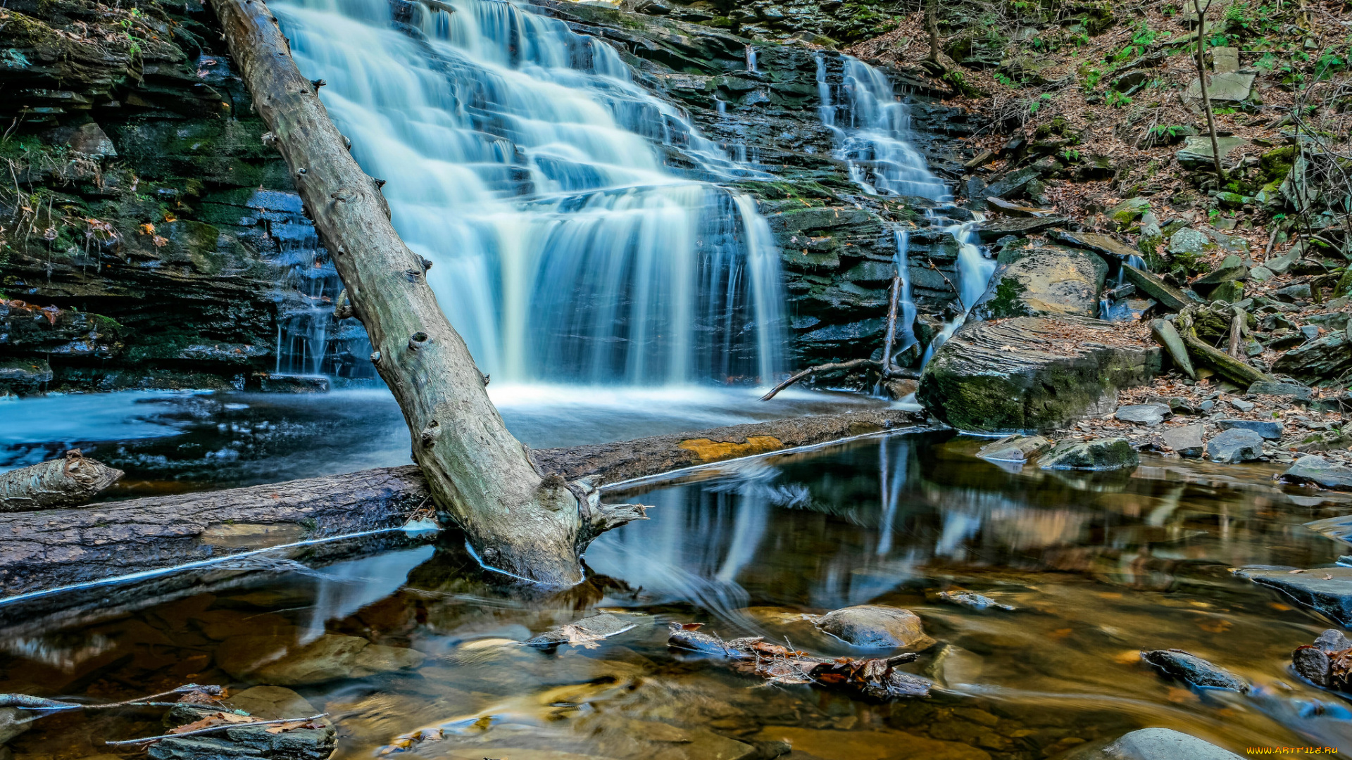 природа, водопады, водопад, река, лес
