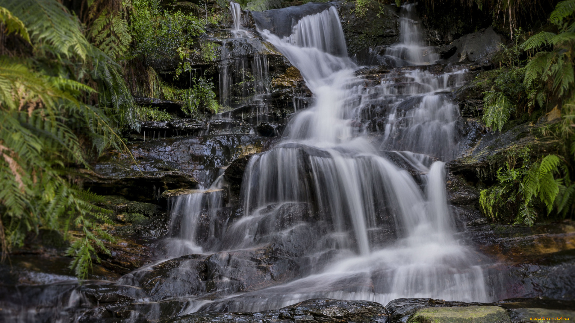 природа, водопады, водопад, река, лес