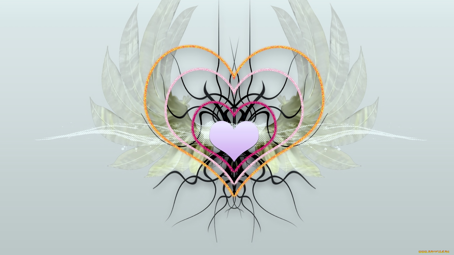 векторная, графика, сердечки, , hearts, фон, сердечко