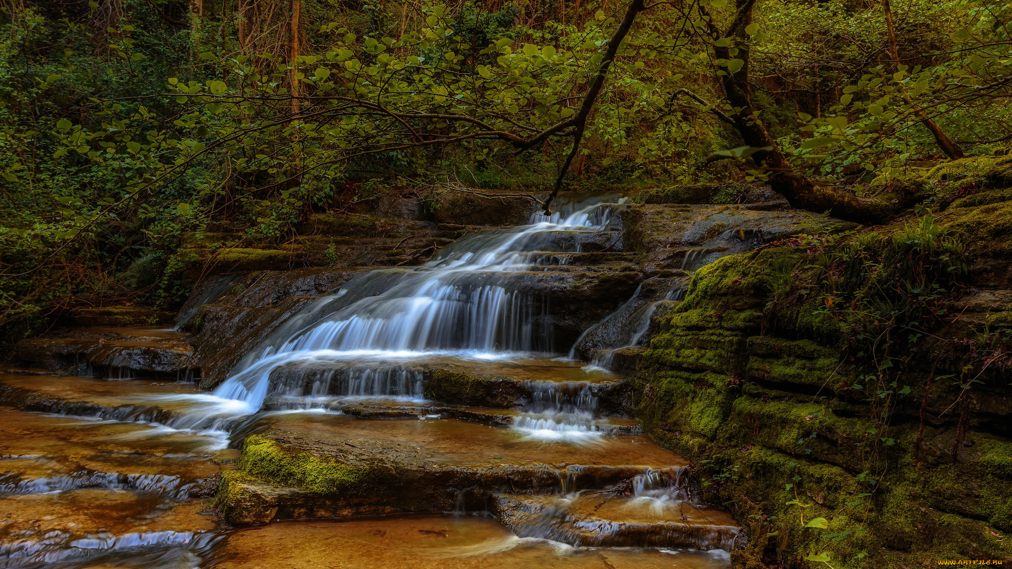 природа, водопады, лес, река, водопад