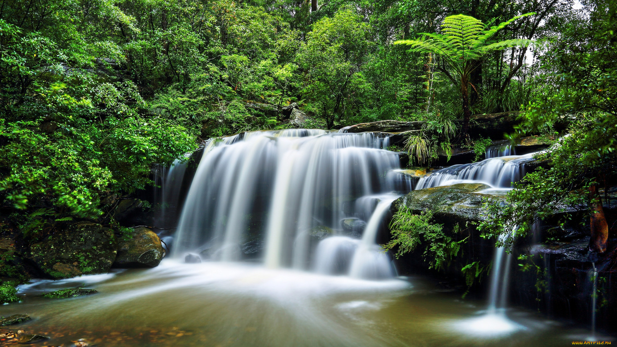 природа, водопады, водопад, река, лес