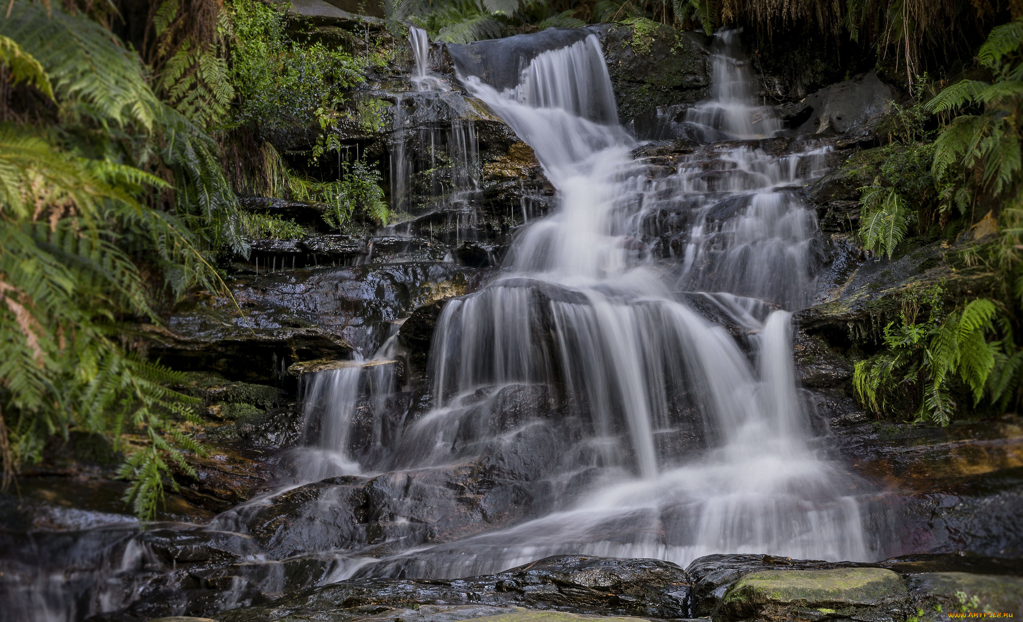 природа, водопады, водопад, река, лес