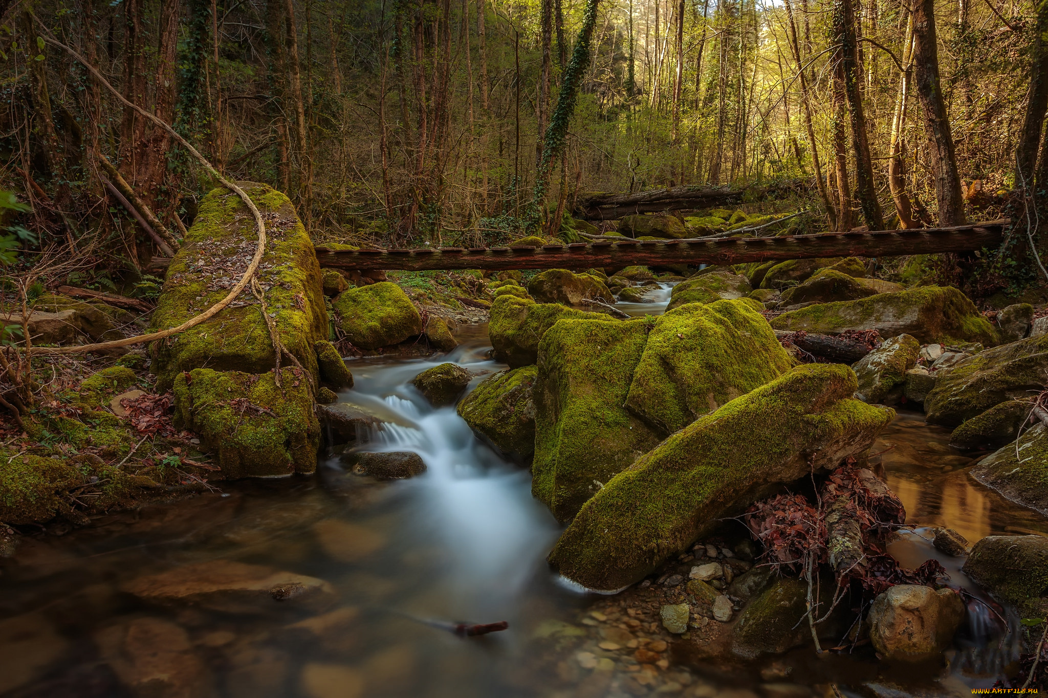 природа, водопады, водопад, река, лес