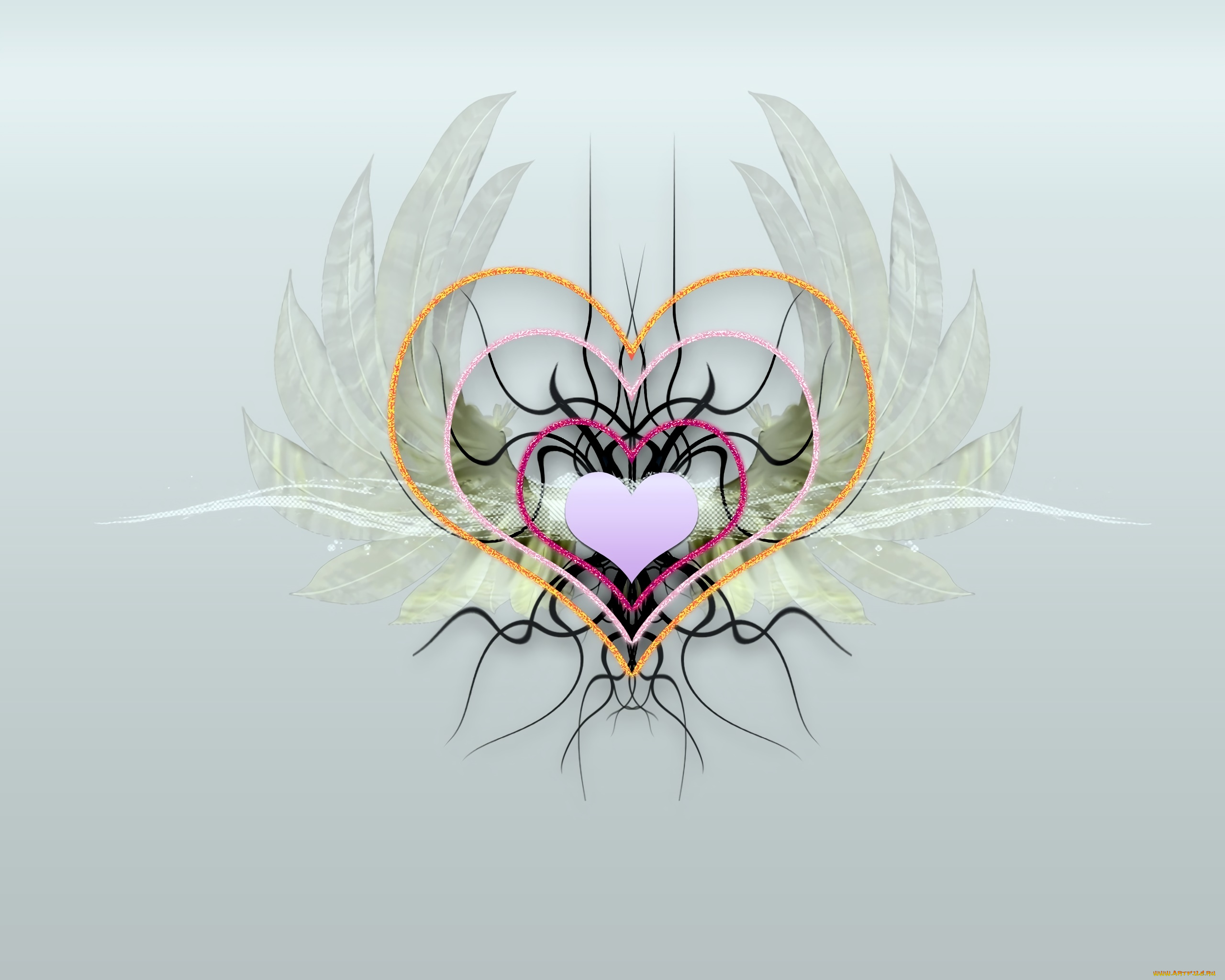 векторная, графика, сердечки, , hearts, фон, сердечко