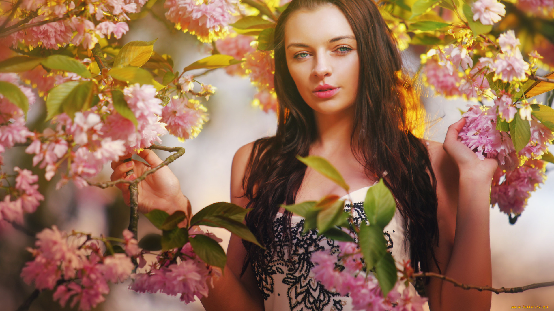 девушки, -unsort, , брюнетки, , шатенки, взгляд, лицо