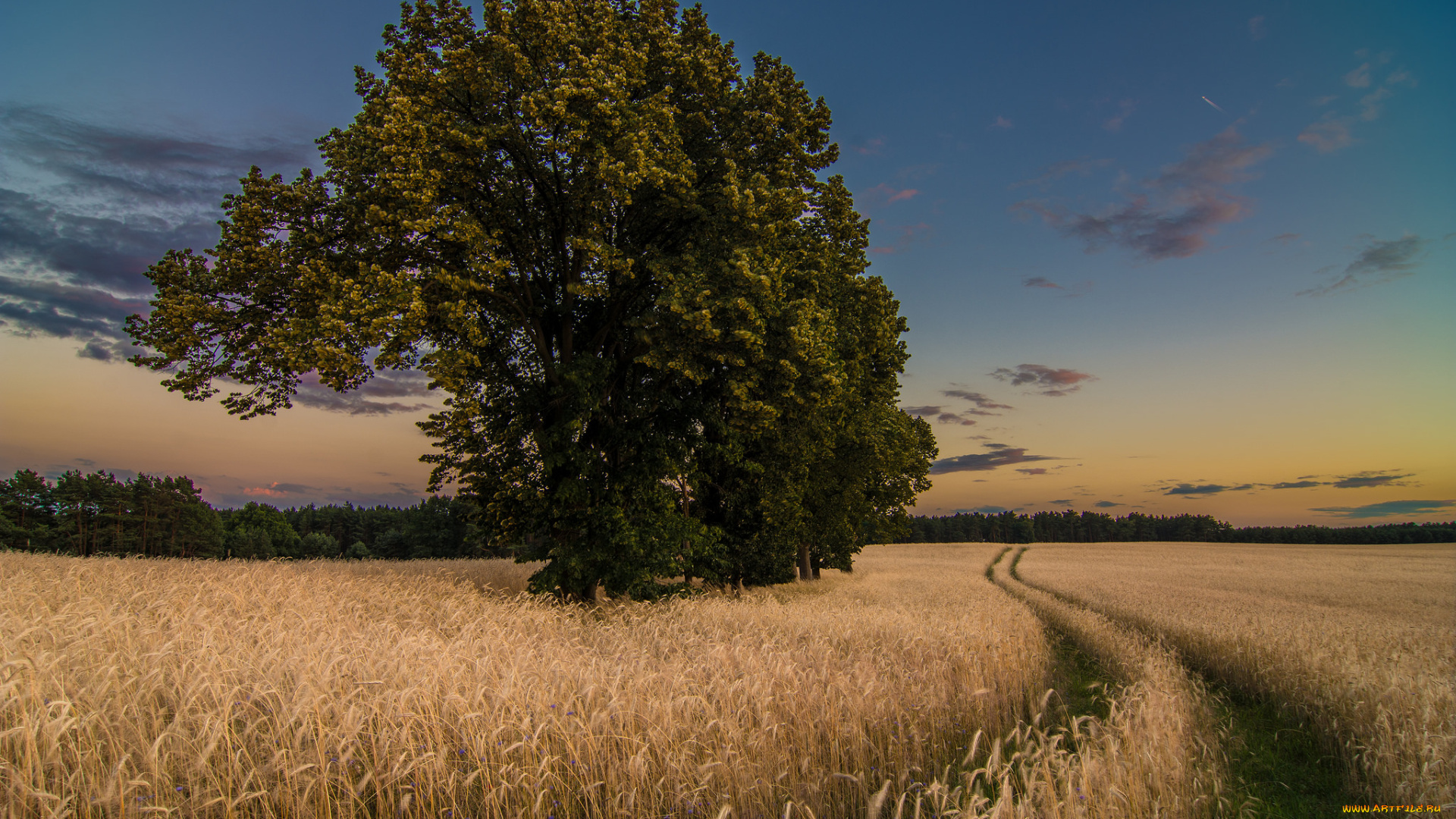 природа, дороги, тракт