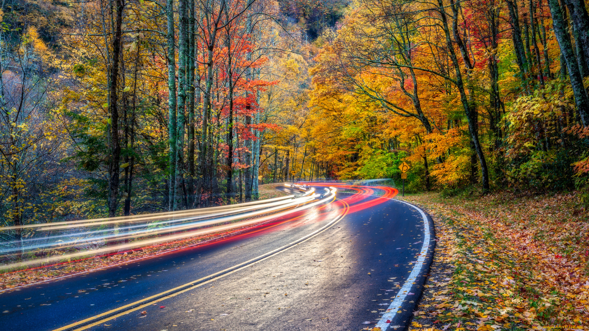 природа, дороги, тракт