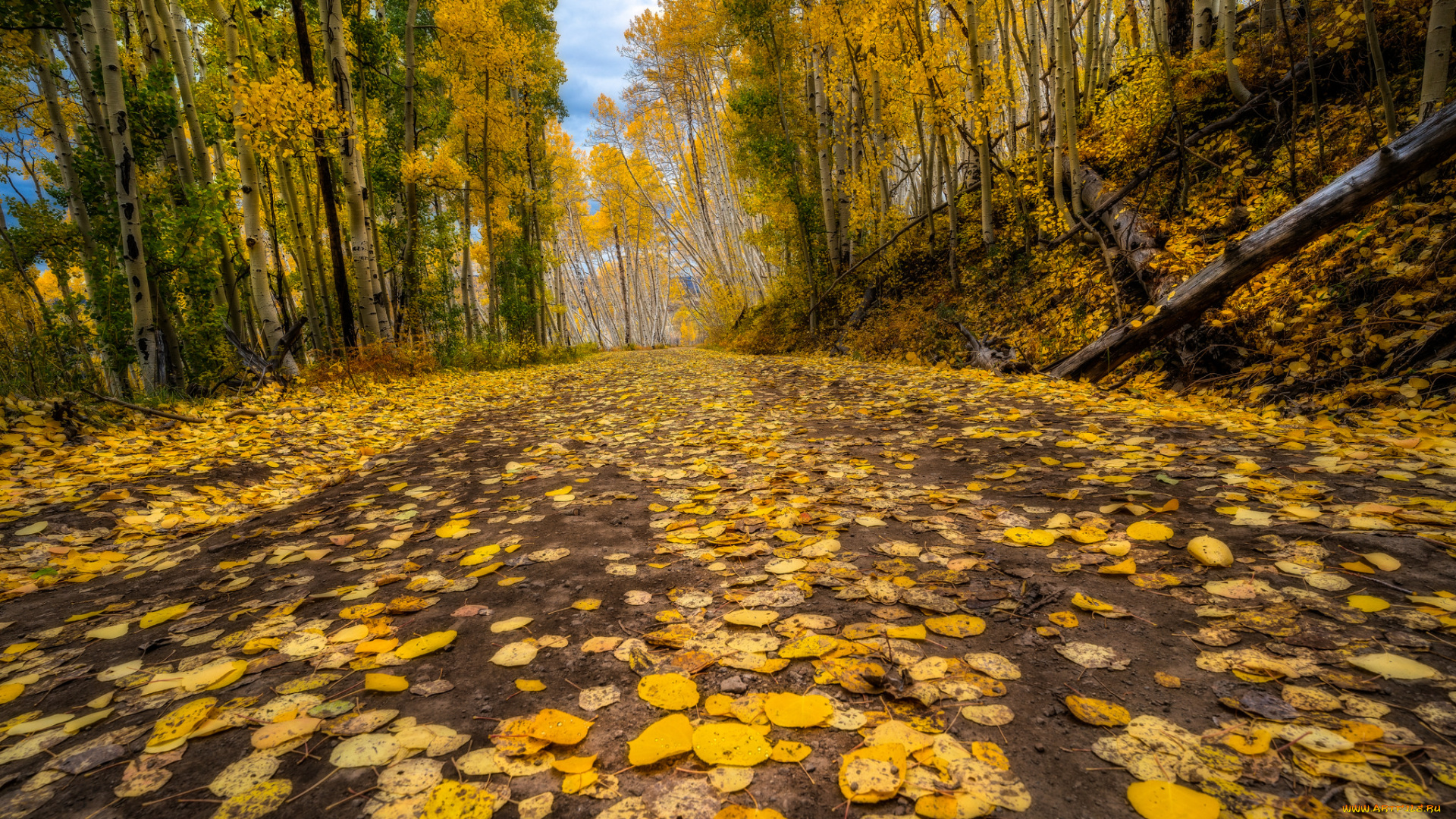 природа, дороги, тракт