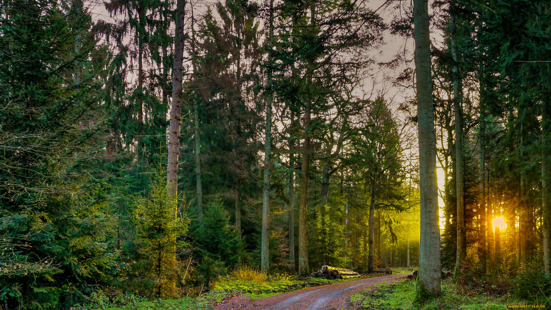 природа, дороги, тракт