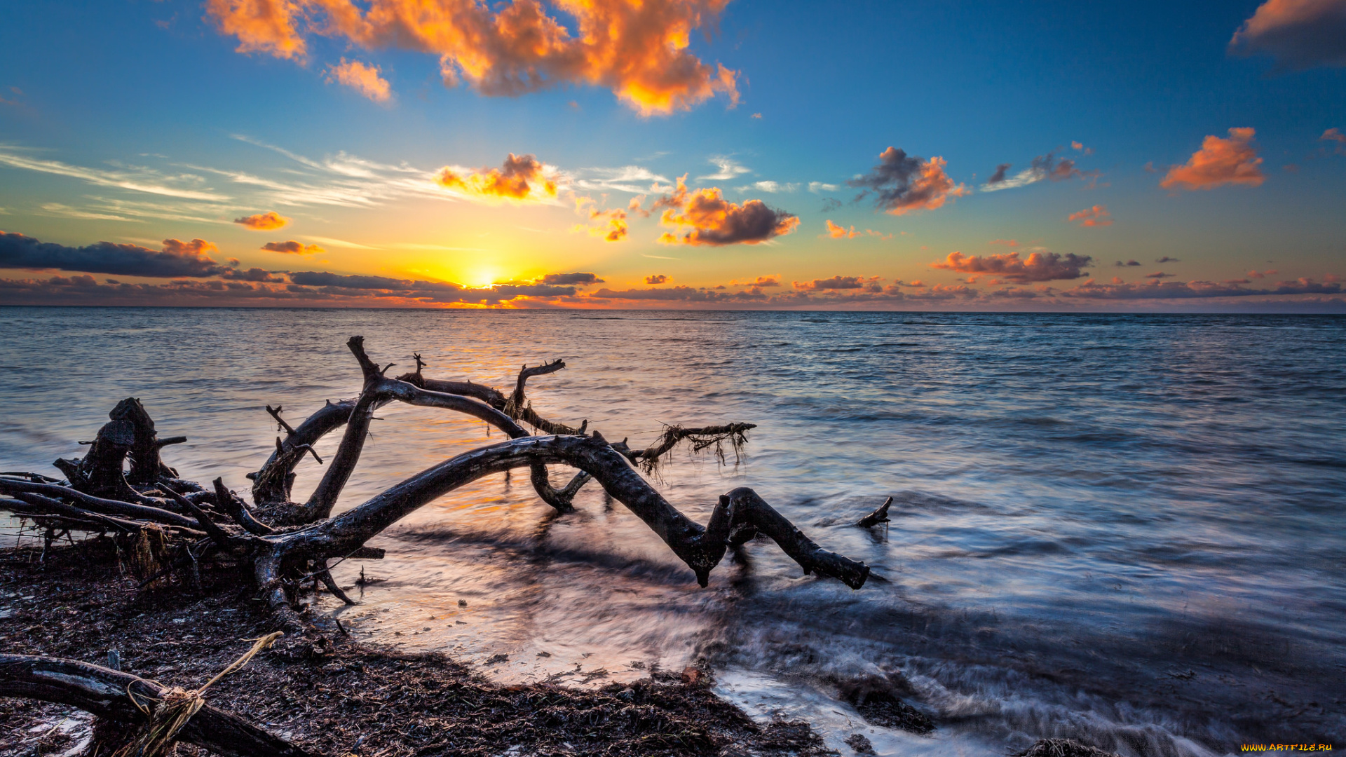 природа, побережье, берег, море