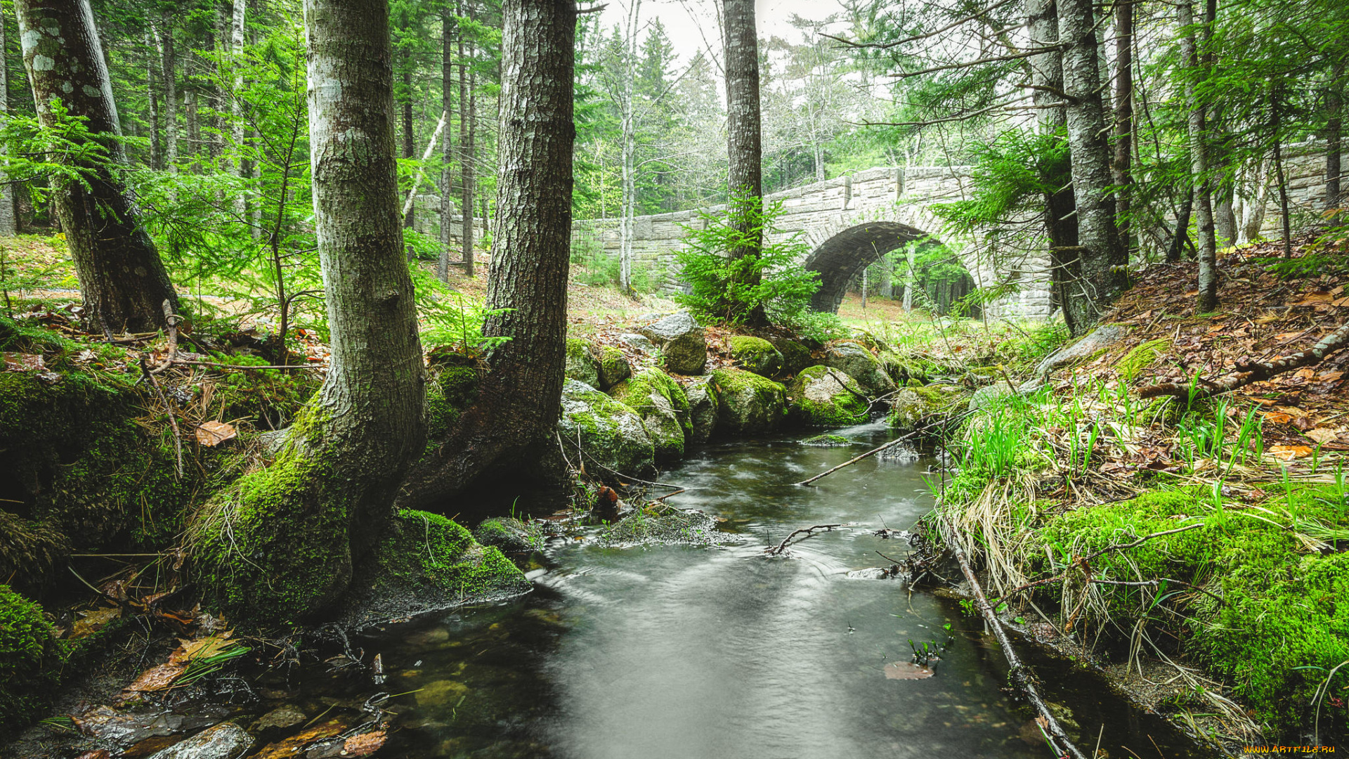 природа, реки, озера, лес, национальный, парк, аркадия, каменный, мост, река, штат, мэн