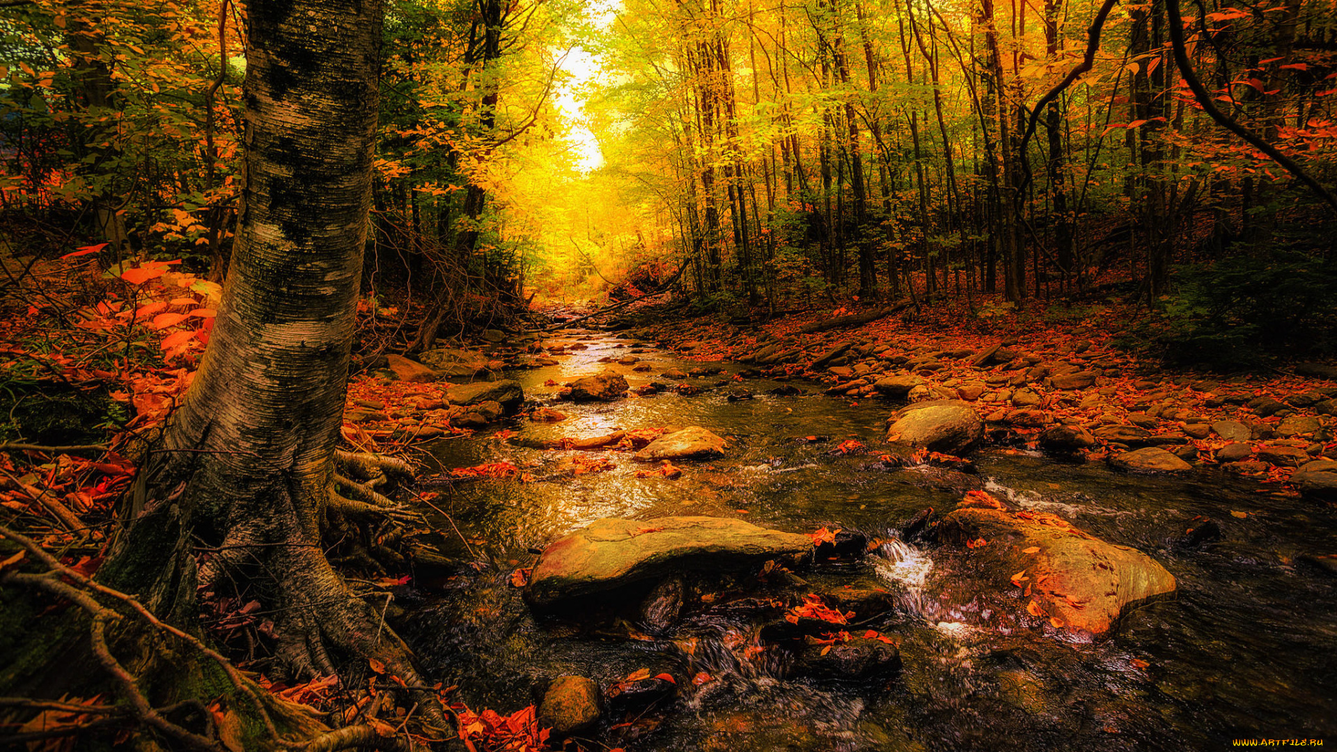 природа, реки, озера, осень, лес, деревья, река, камни