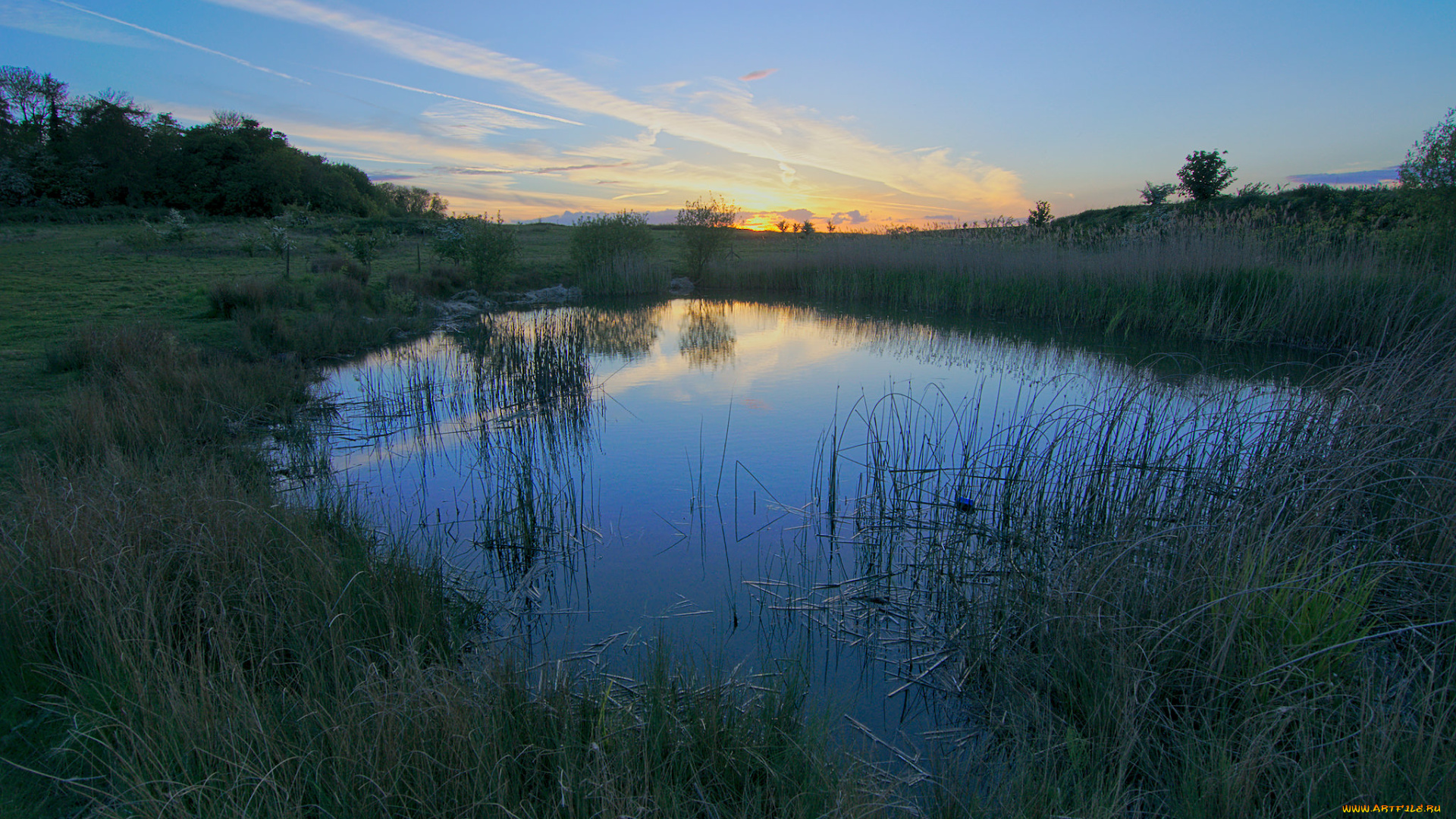 природа, реки, озера, река, лес