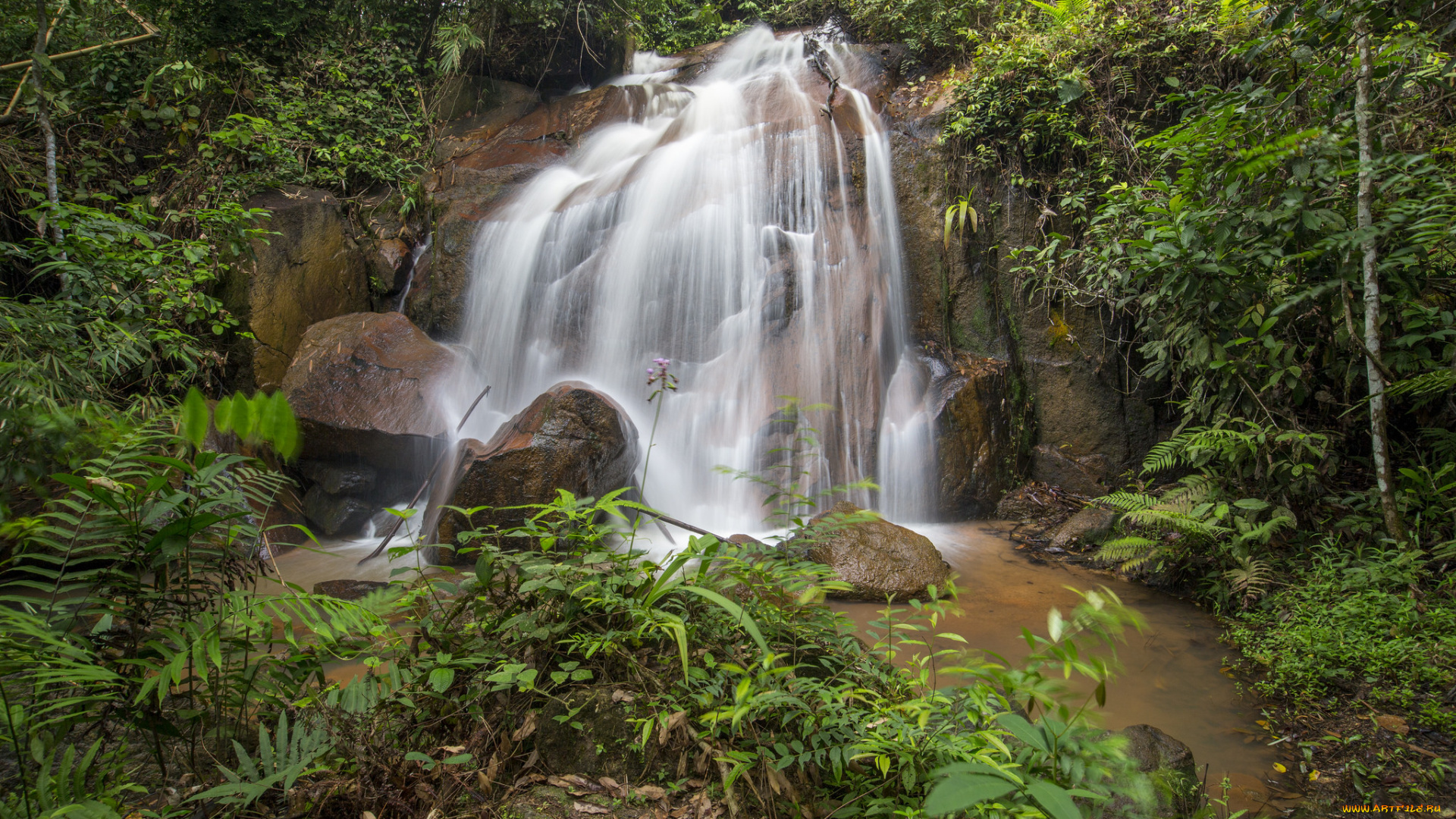 природа, водопады, лес, река, водопад
