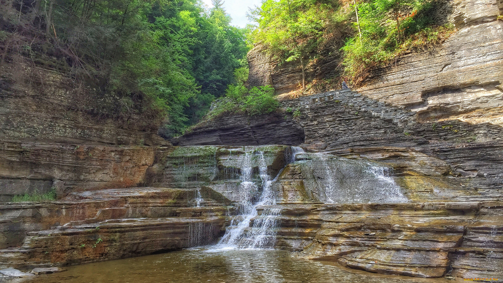 природа, водопады, река, водопад, лес