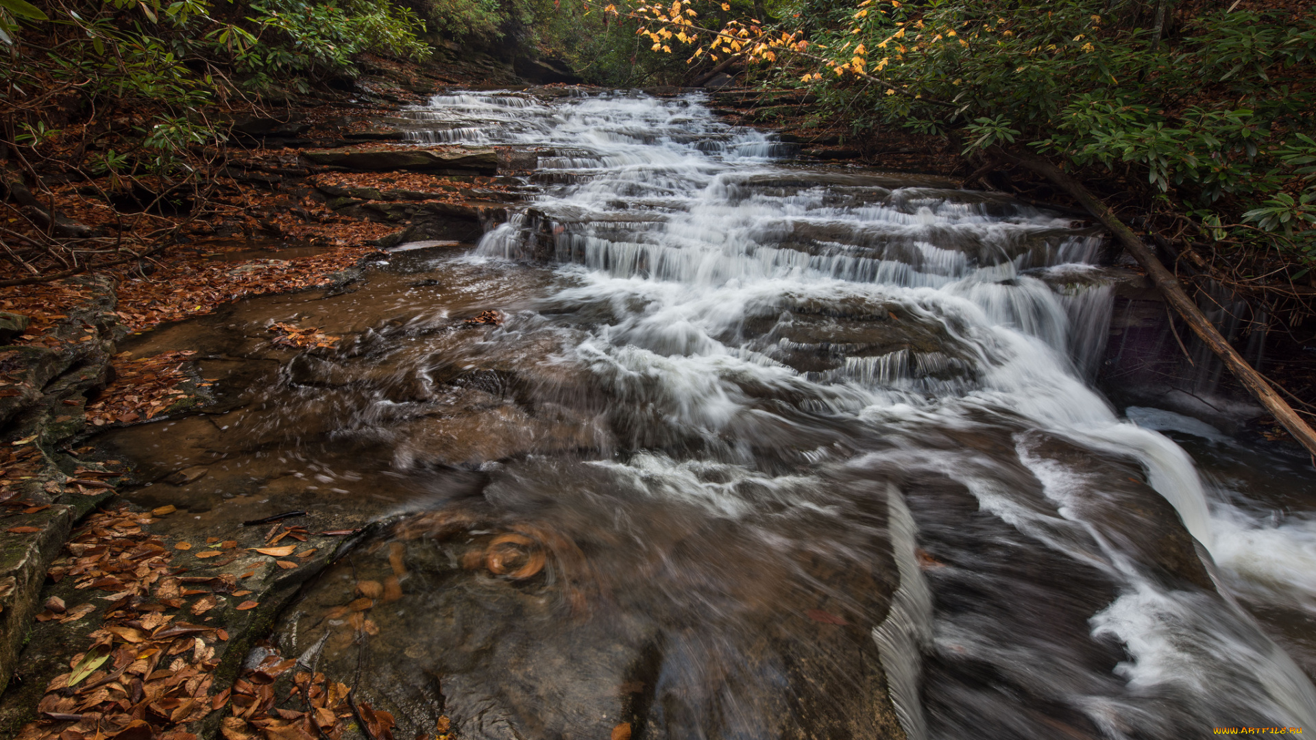 природа, водопады, водопад, лес, река