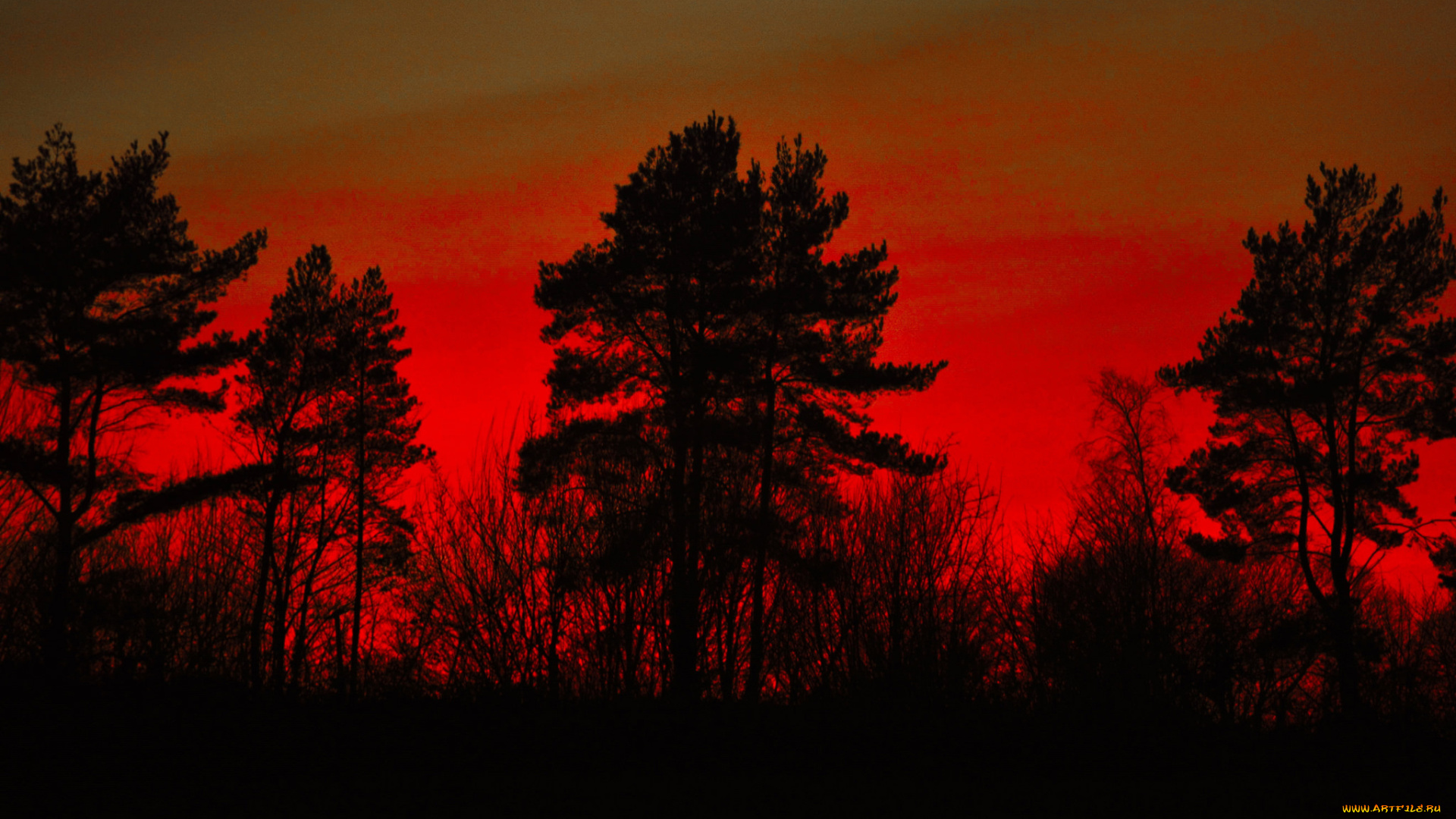 природа, восходы, закаты, рассвет