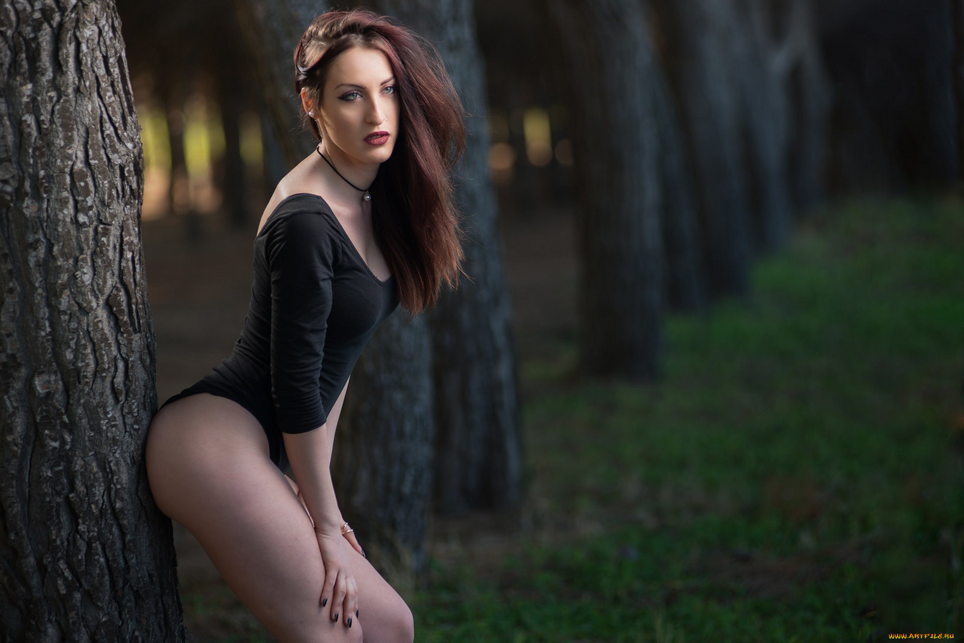 девушки, -unsort, , брюнетки, , шатенки, лицо, взгляд